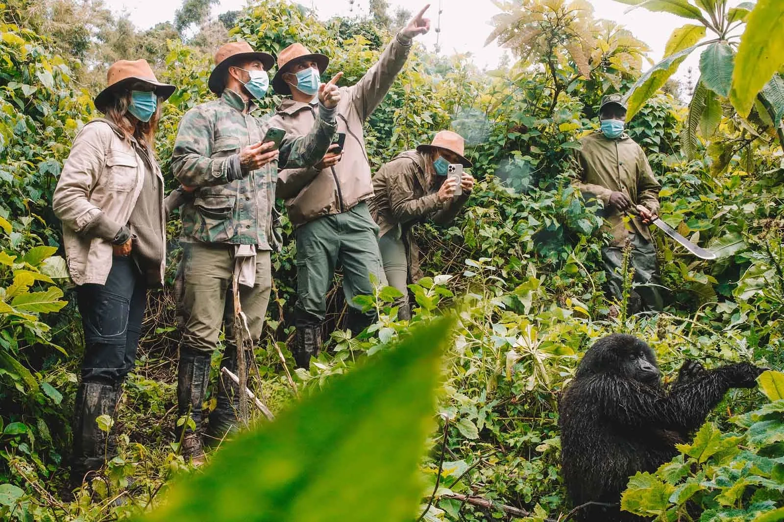 Safari in Uganda