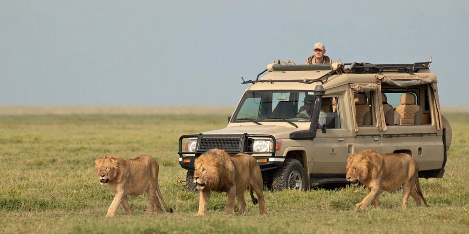 Safari in Uganda