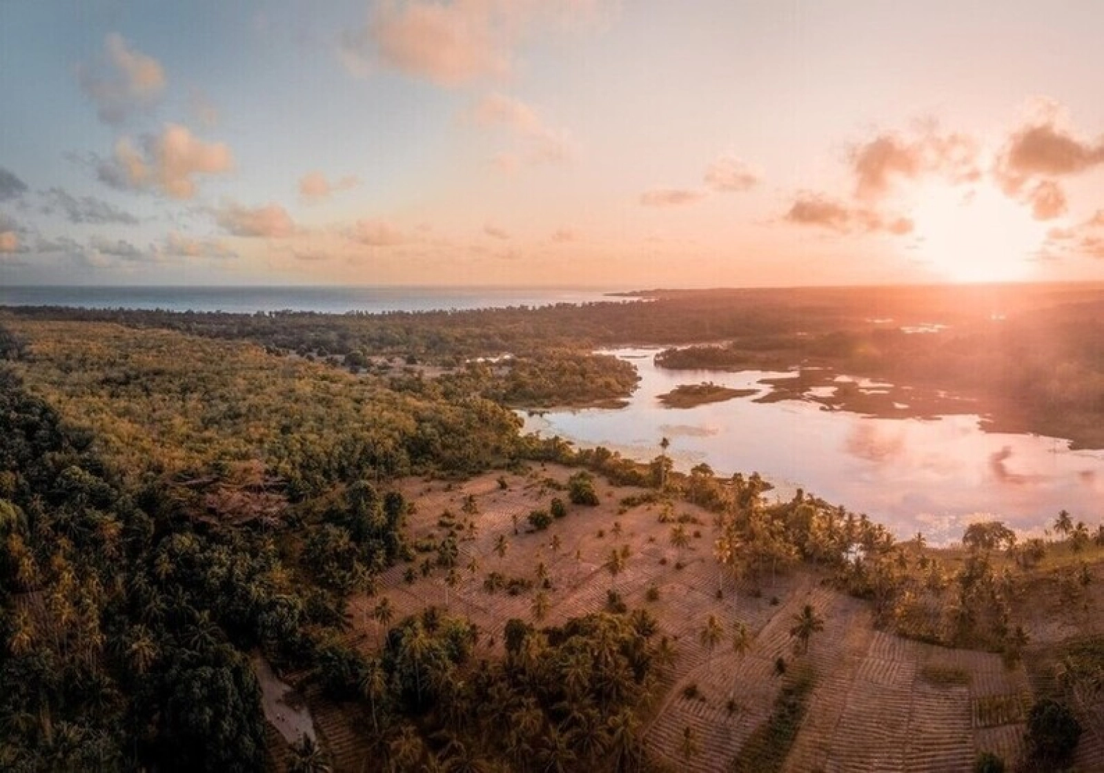 Safari in Uganda