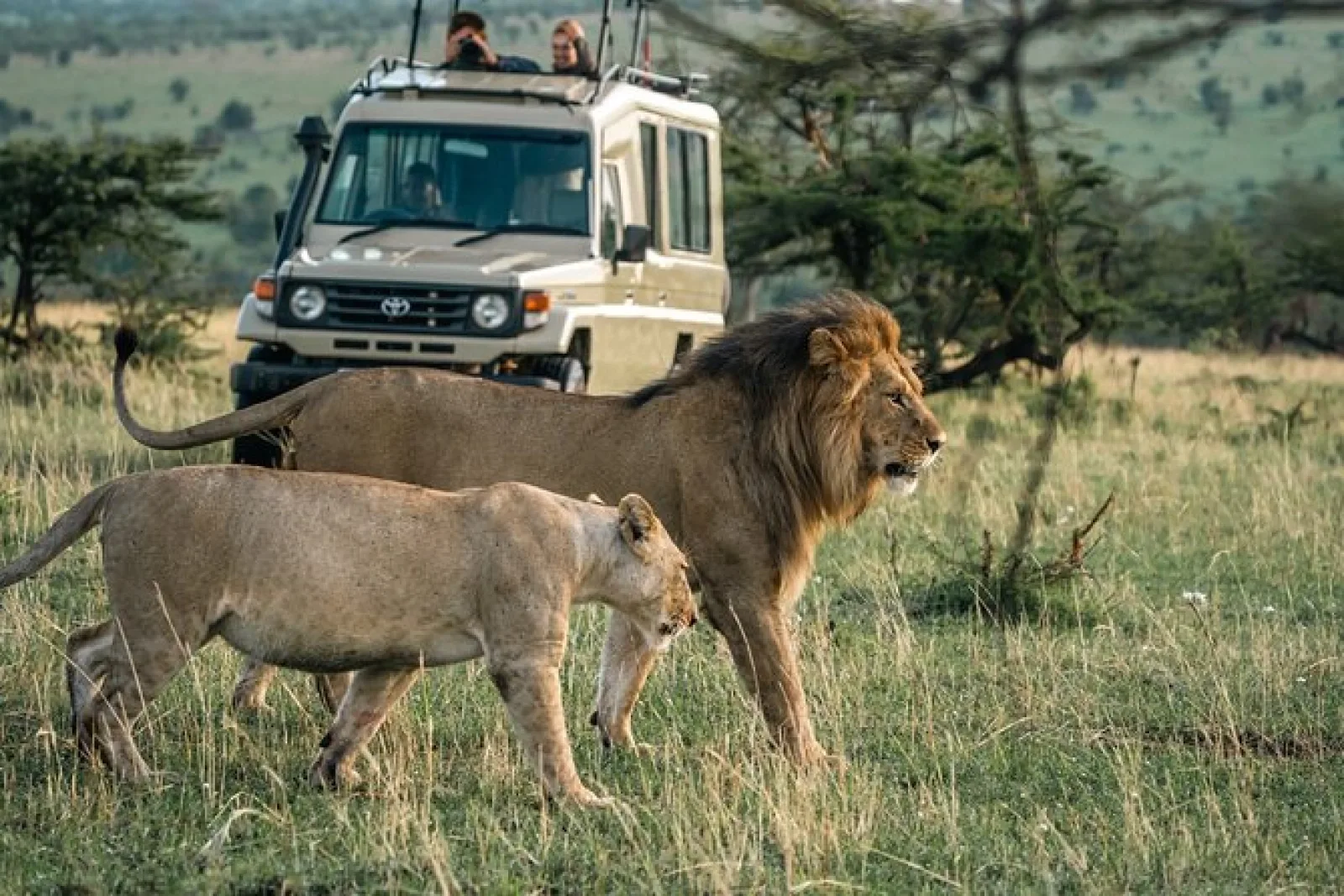 Safari in Uganda