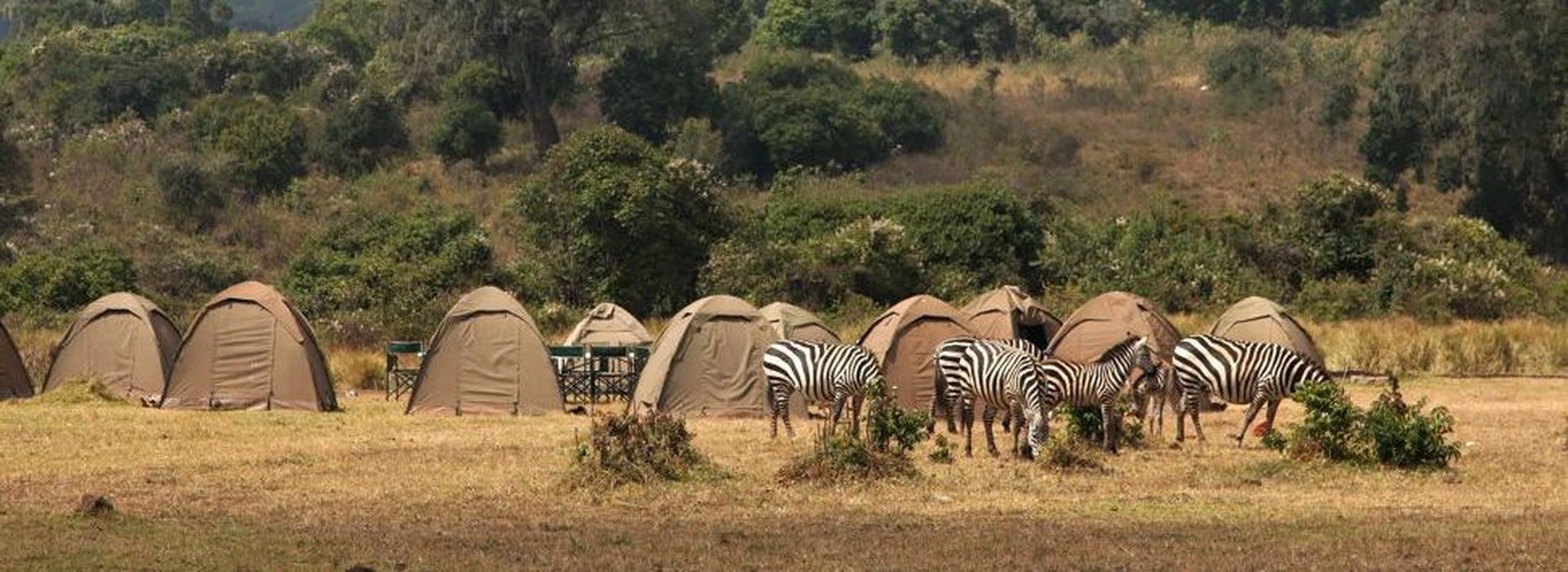 Safari Kenya départ Genève : conseils et organisation
