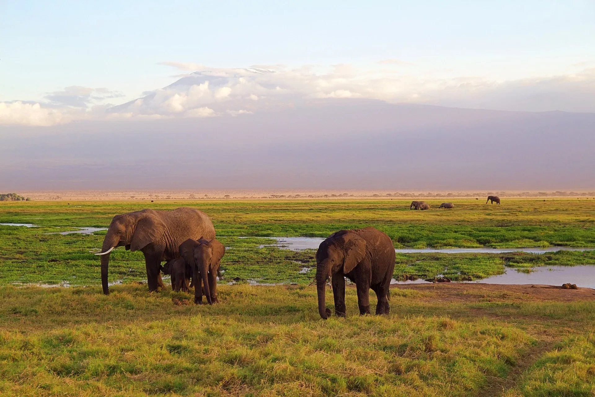 Safari Kenya en octobre : météo, animaux et prix