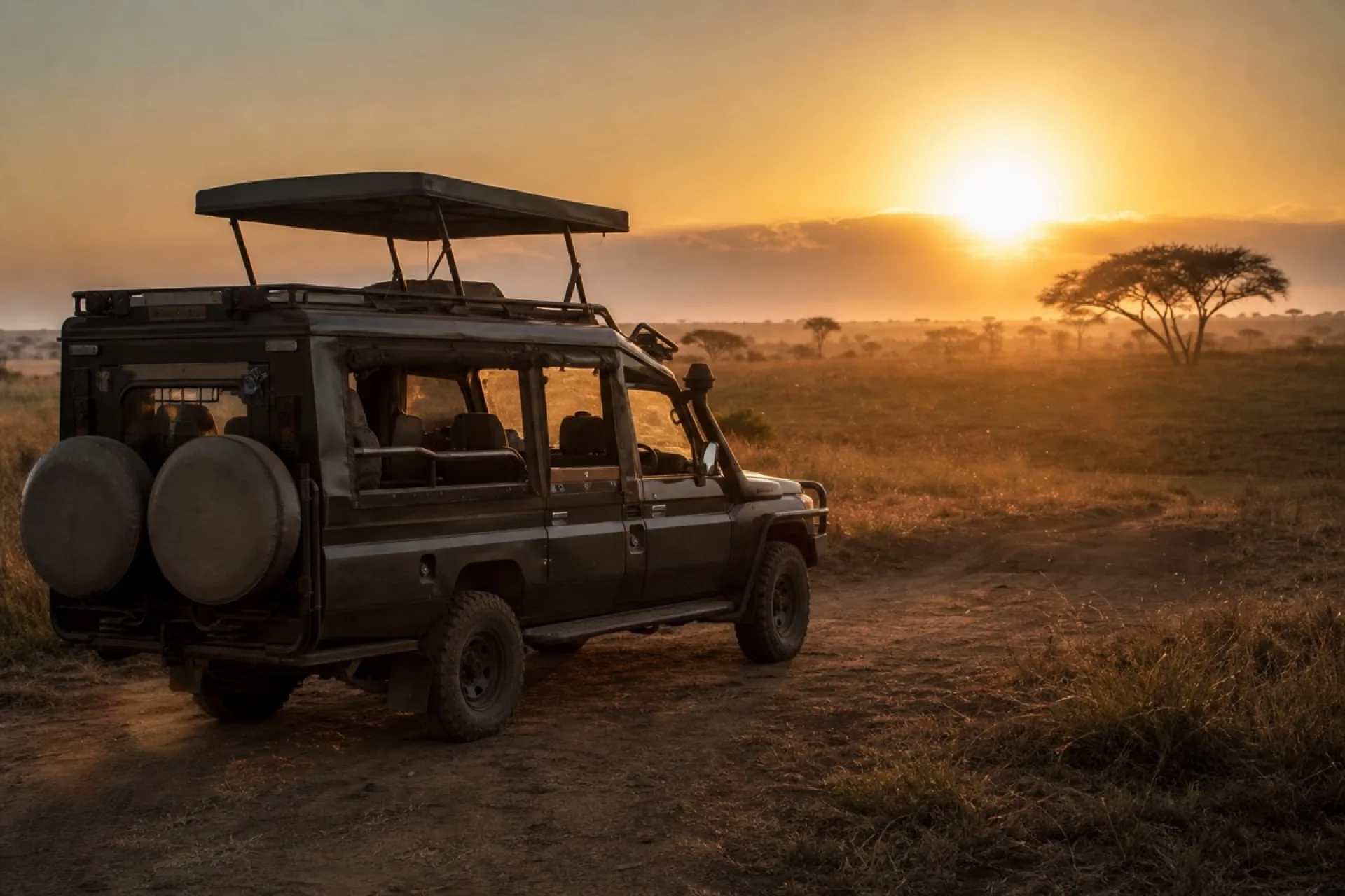 Safari Kenya valise : conseils et organisation