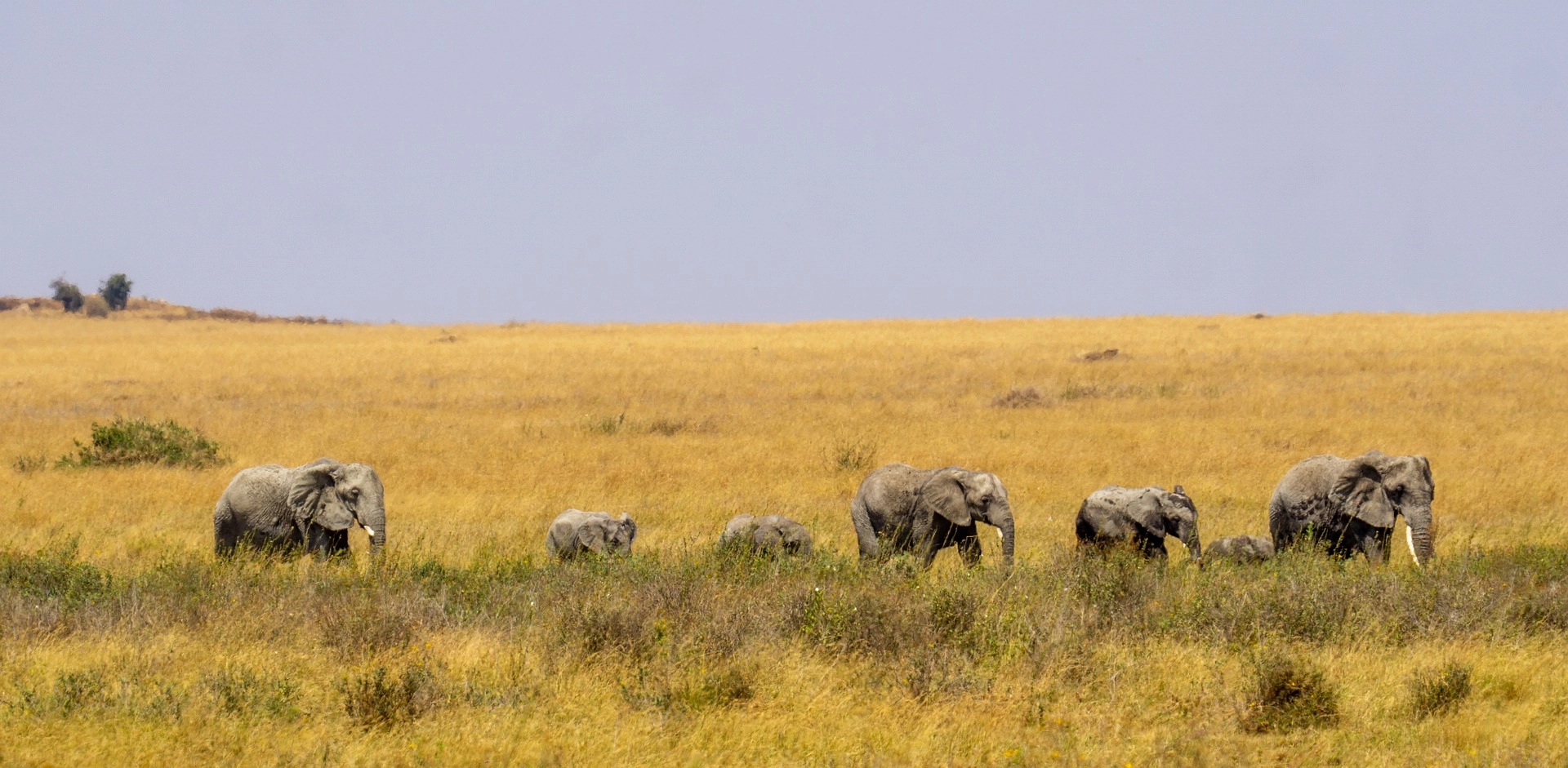 Safari lodge in Africa