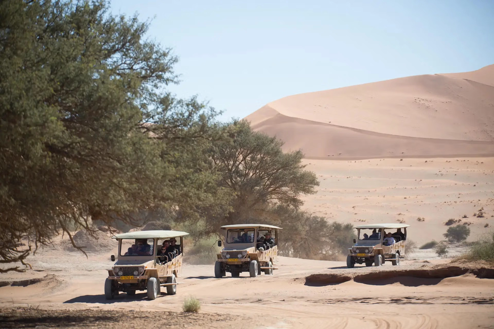 Sand dunes in Sossusvlei Namibia