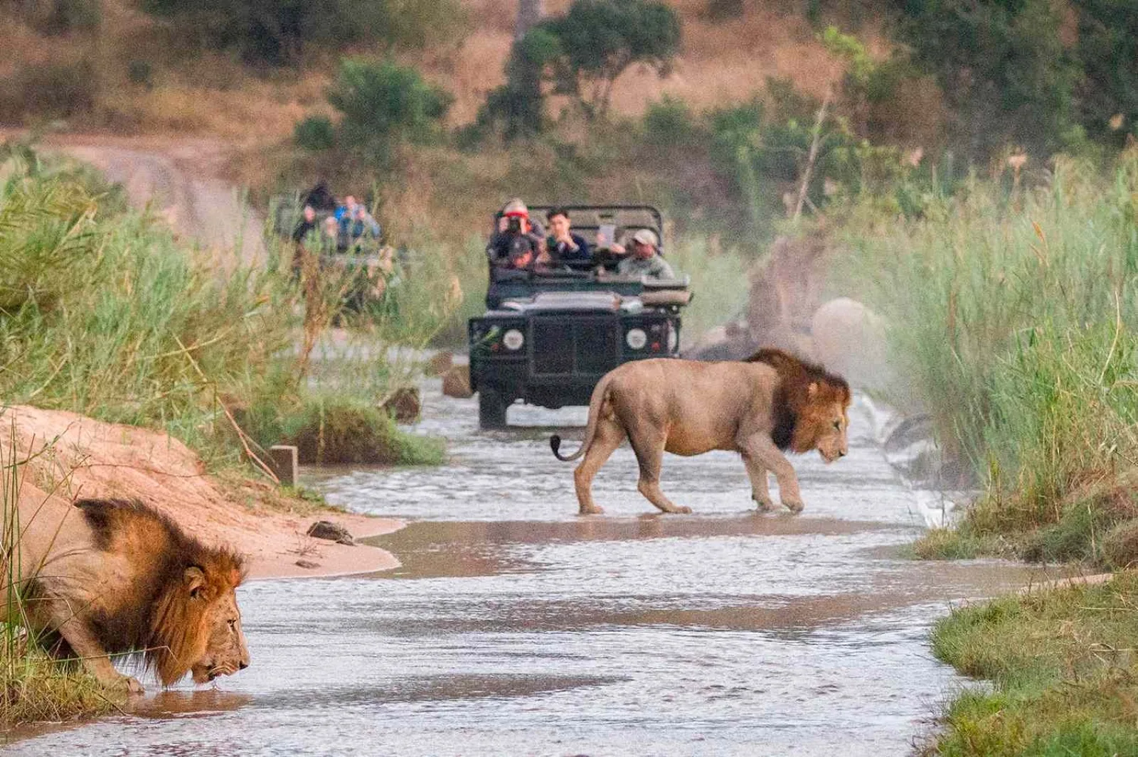 The Importance of Safari Driving Times