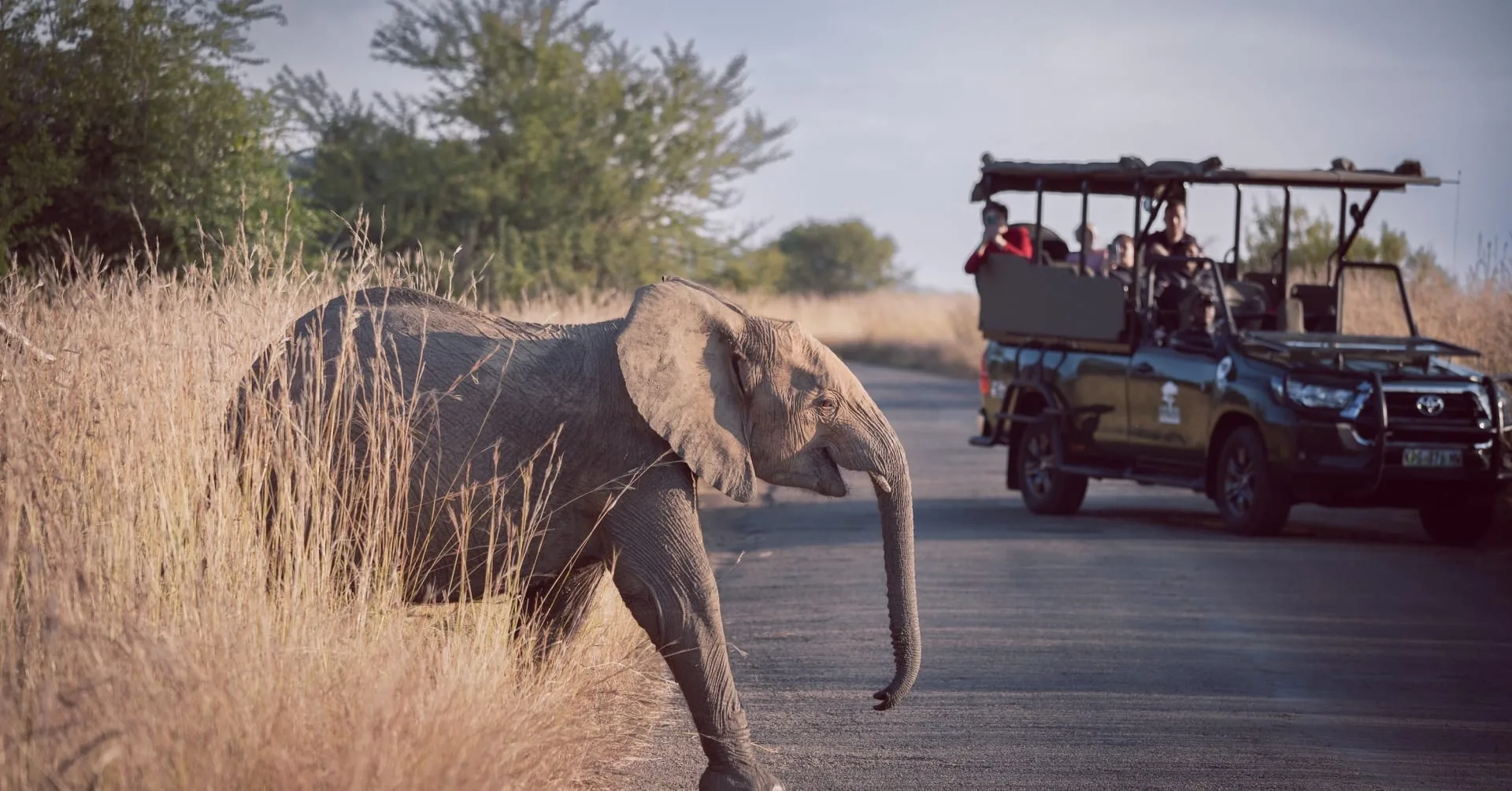 What are the biggest mistakes to avoid on a African safari photography?