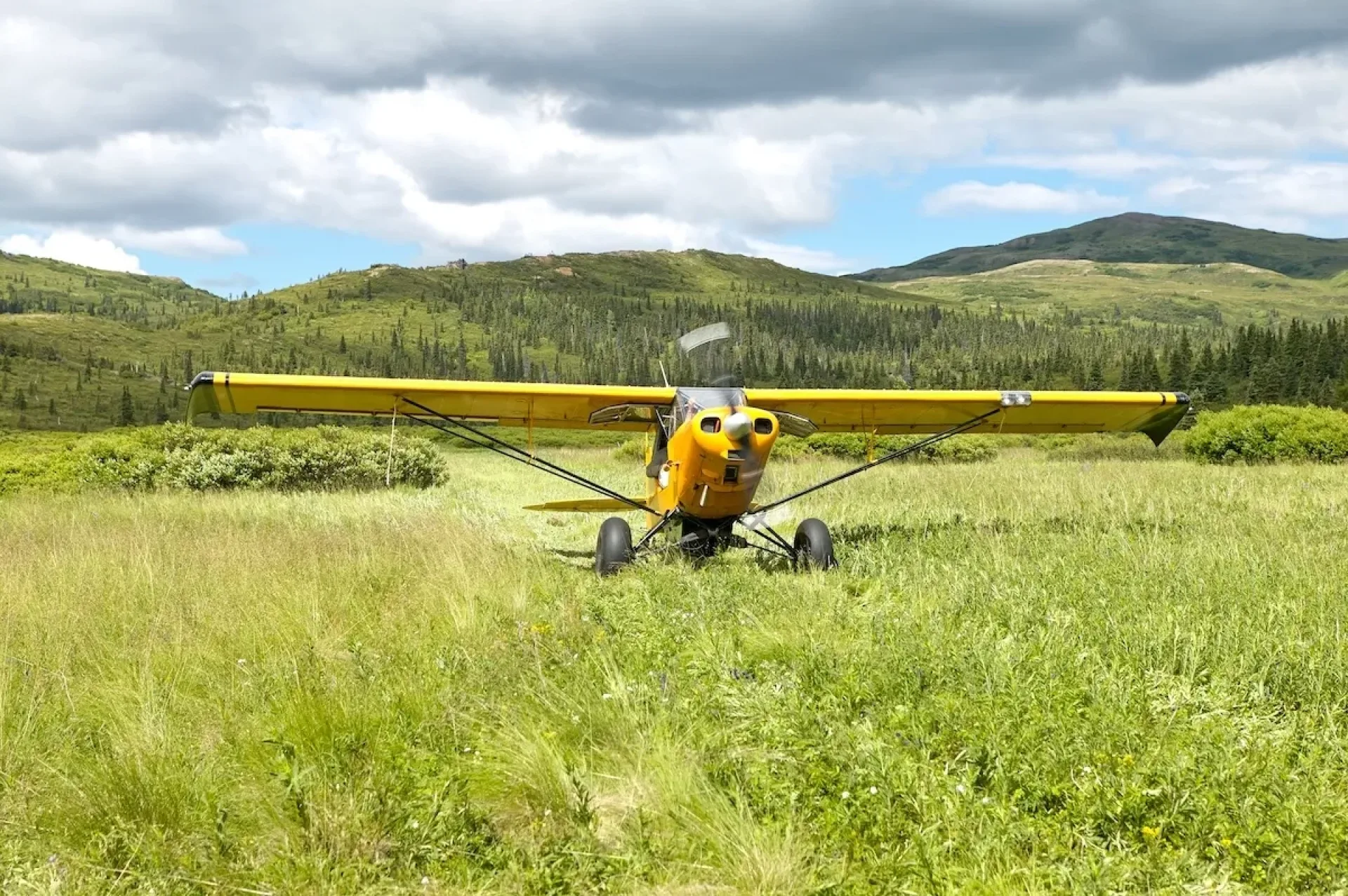 What happens if a bush flight is delayed?
