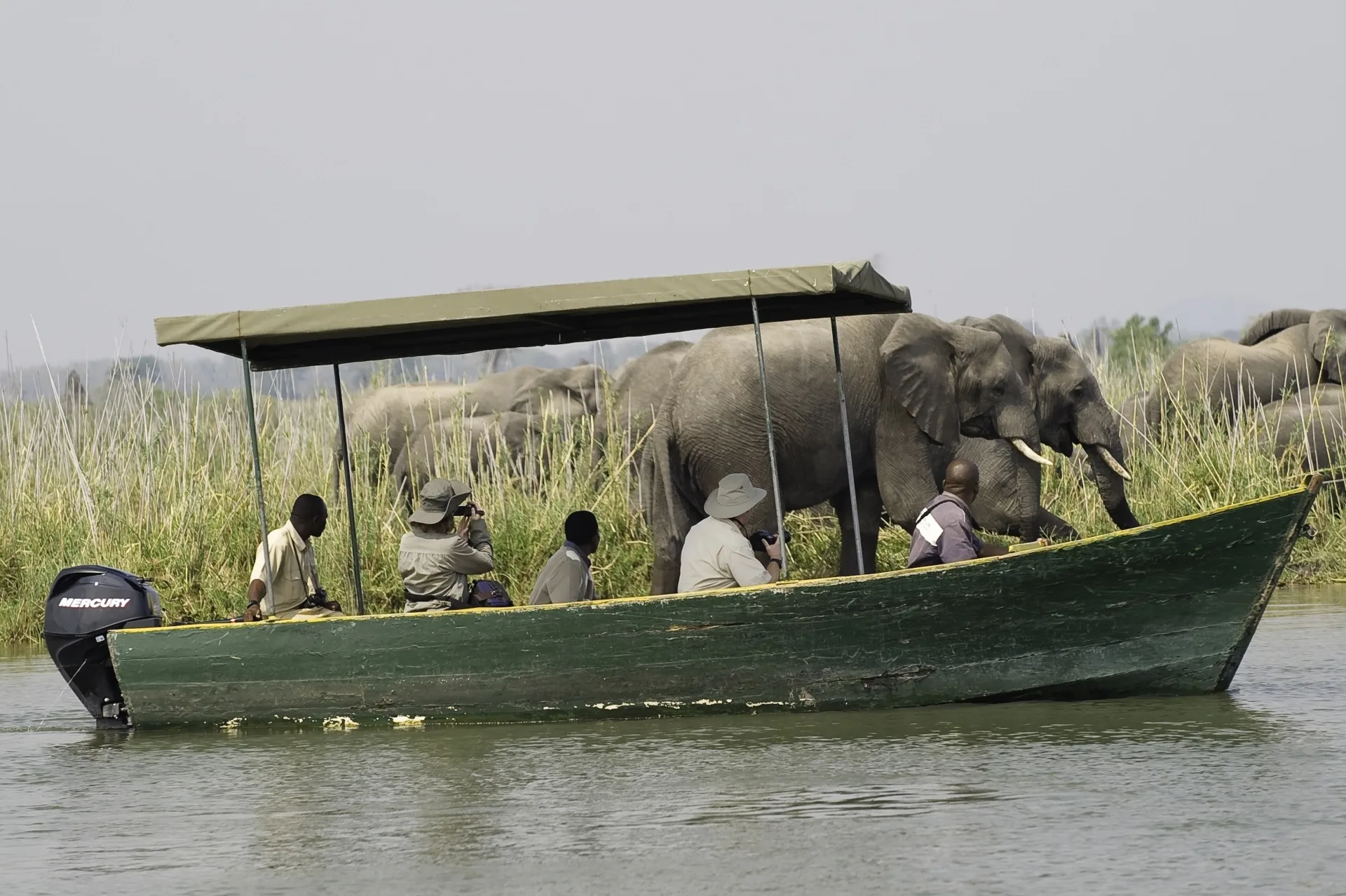 What is a boat safari?
