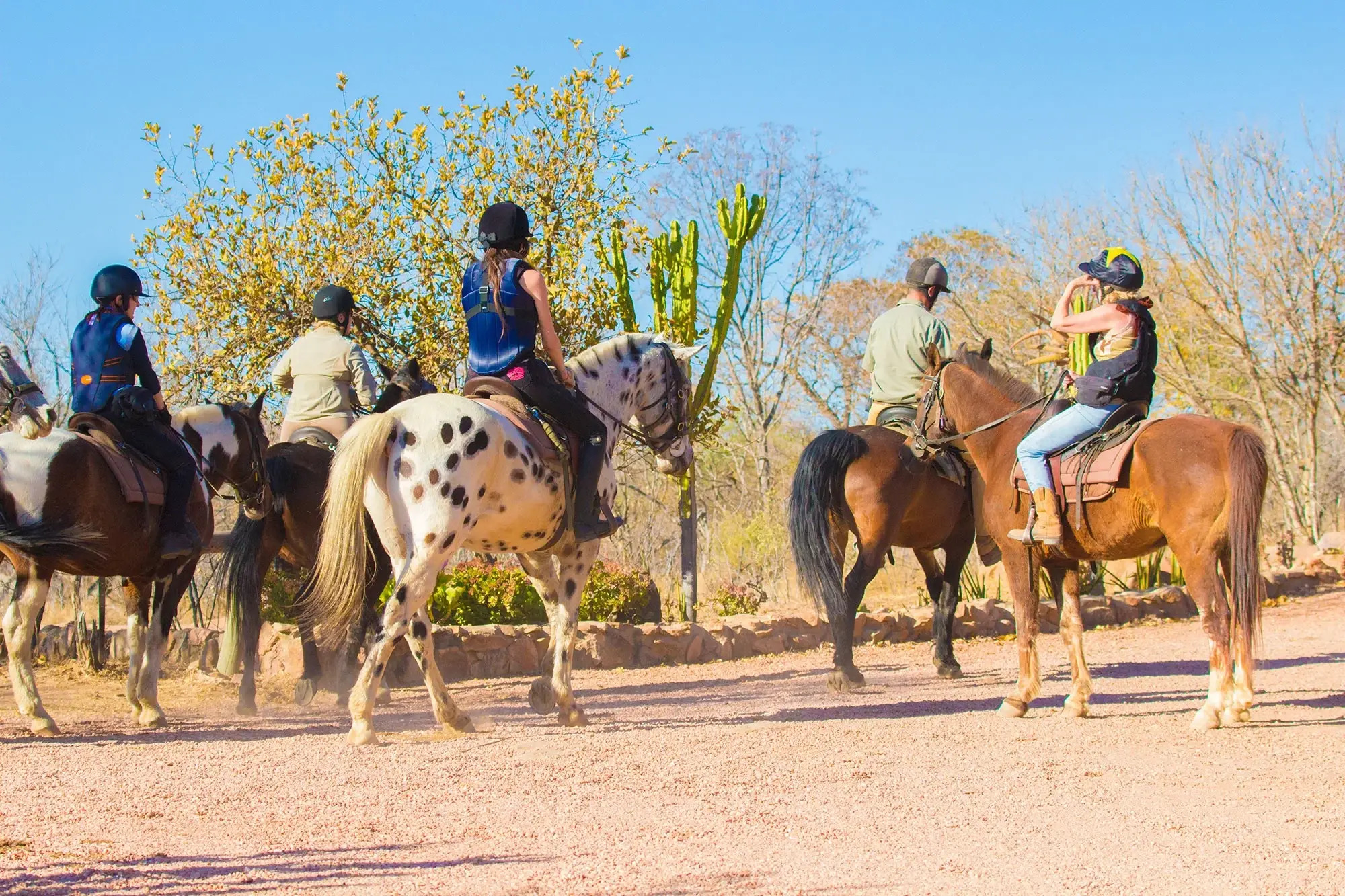 What is a horseback safari like in Africa?