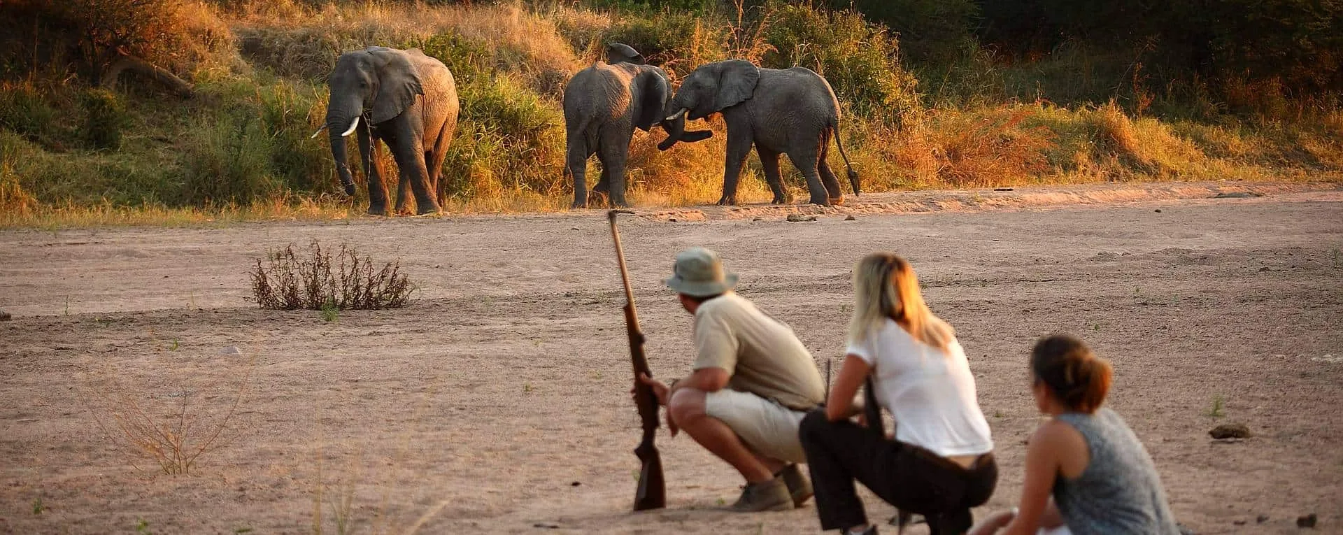 What is a walking safari like in Africa?