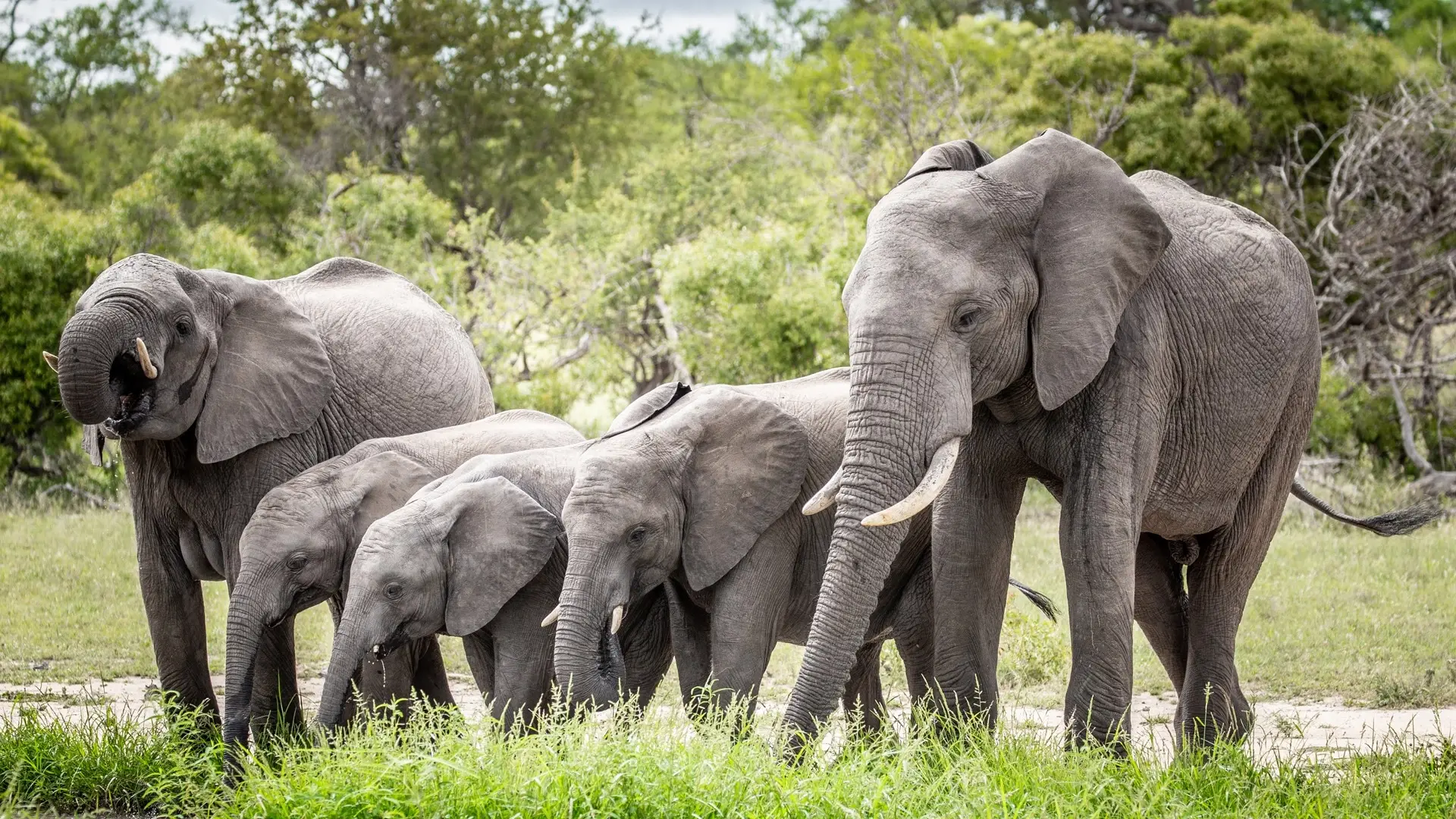 What is the best African safari in May?