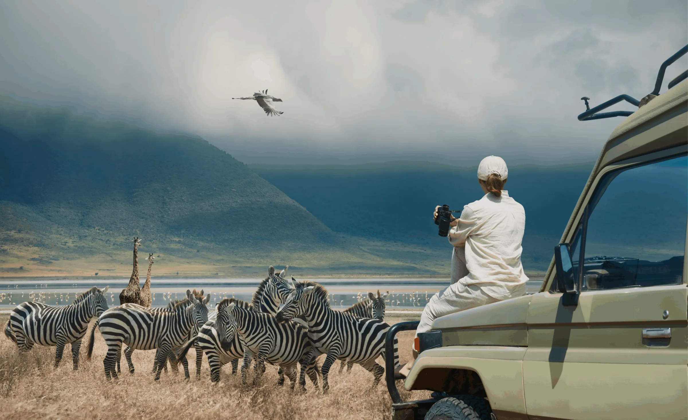 What is the best time for a African safari for seniors?