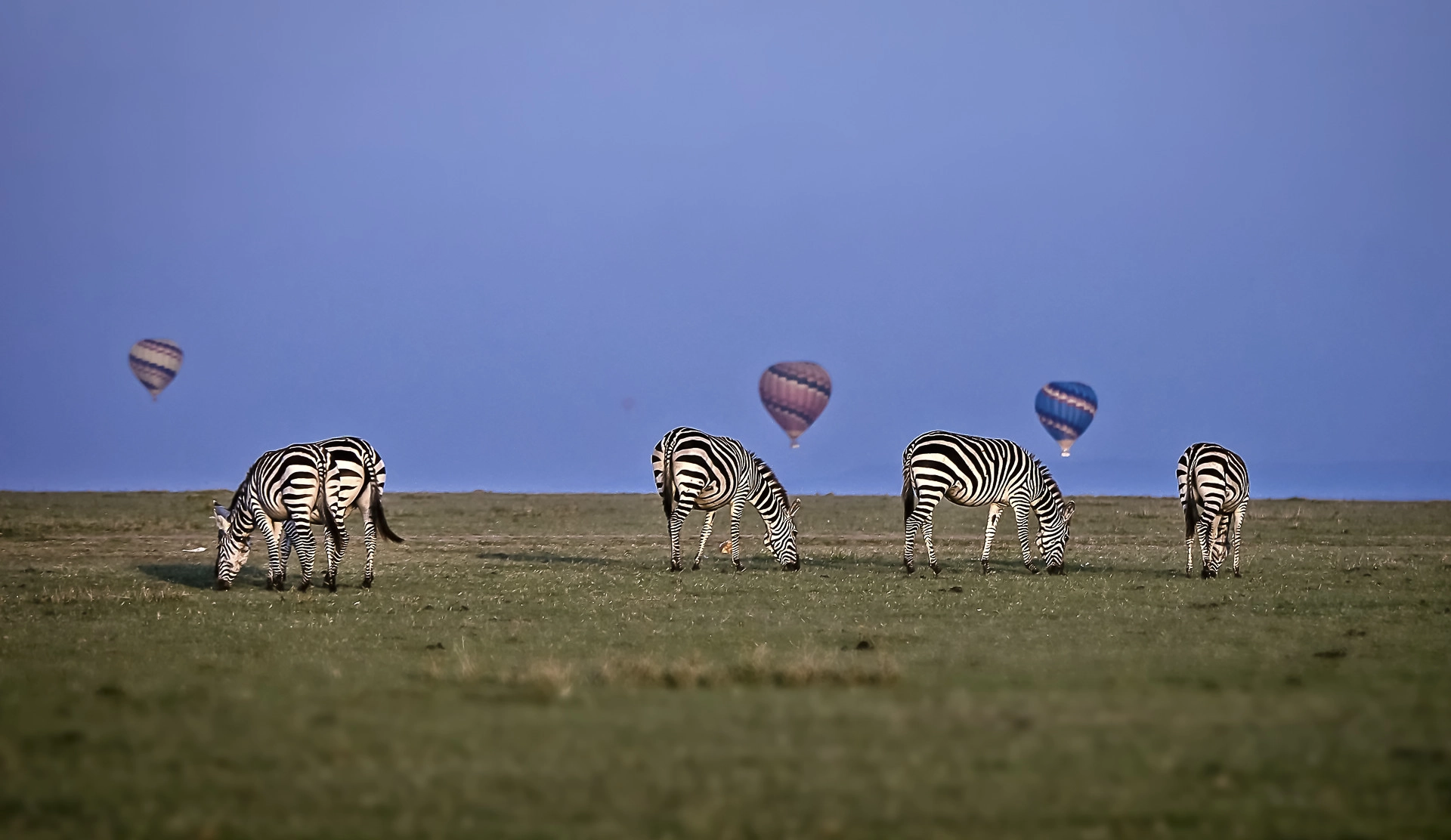 What is the best time for a first African safari?