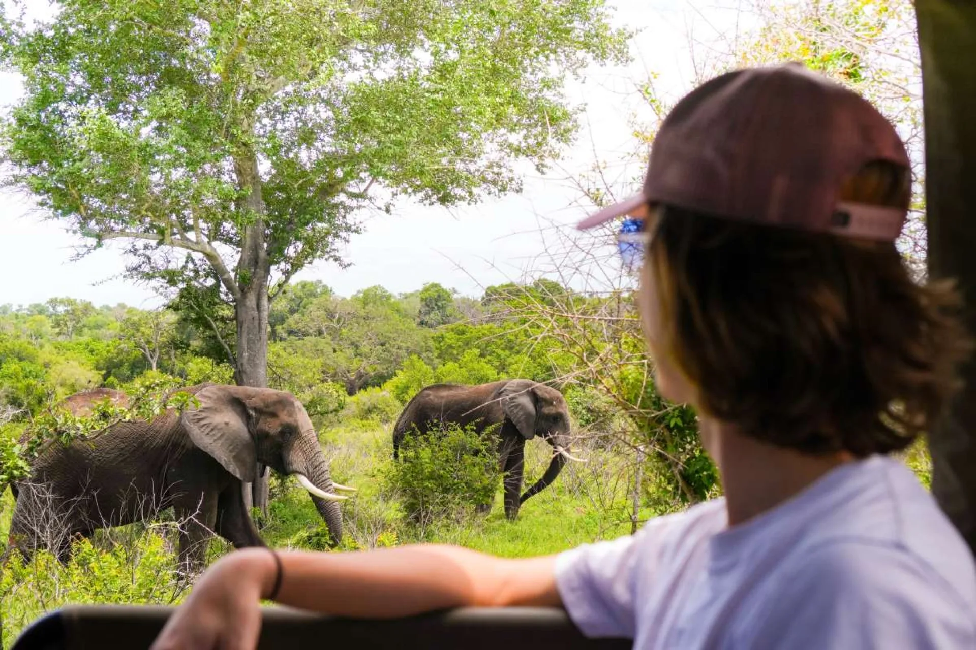 What is the best time for a solo African safari?