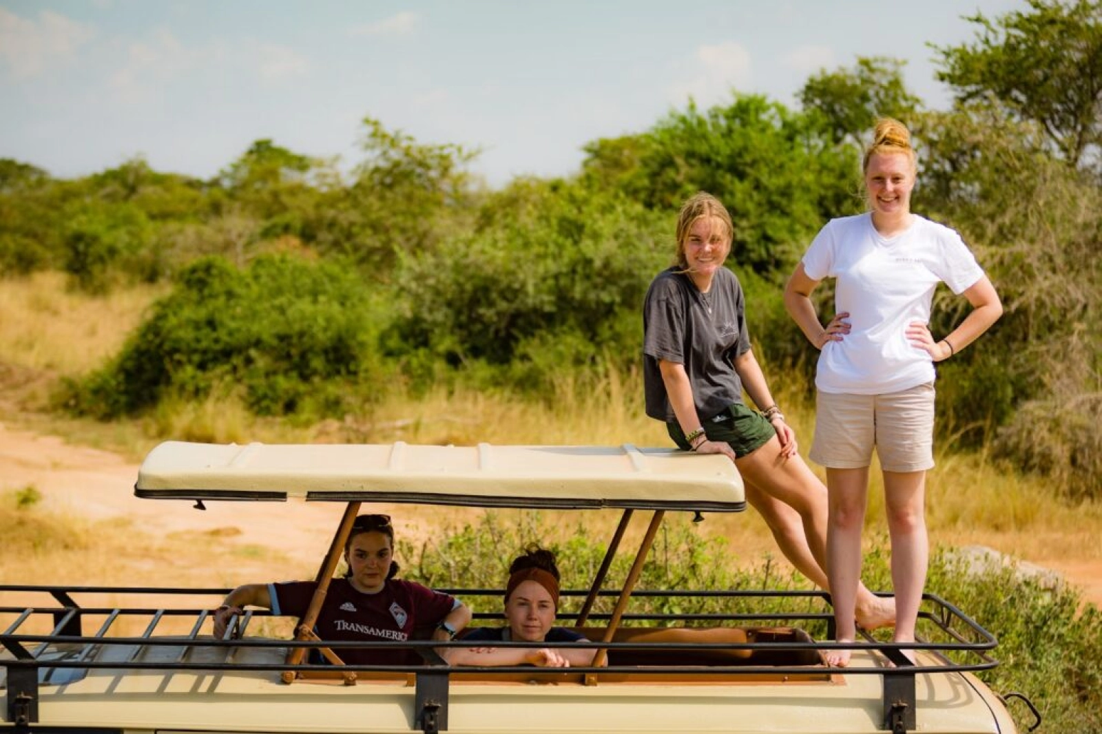 Wildlife on an African safari