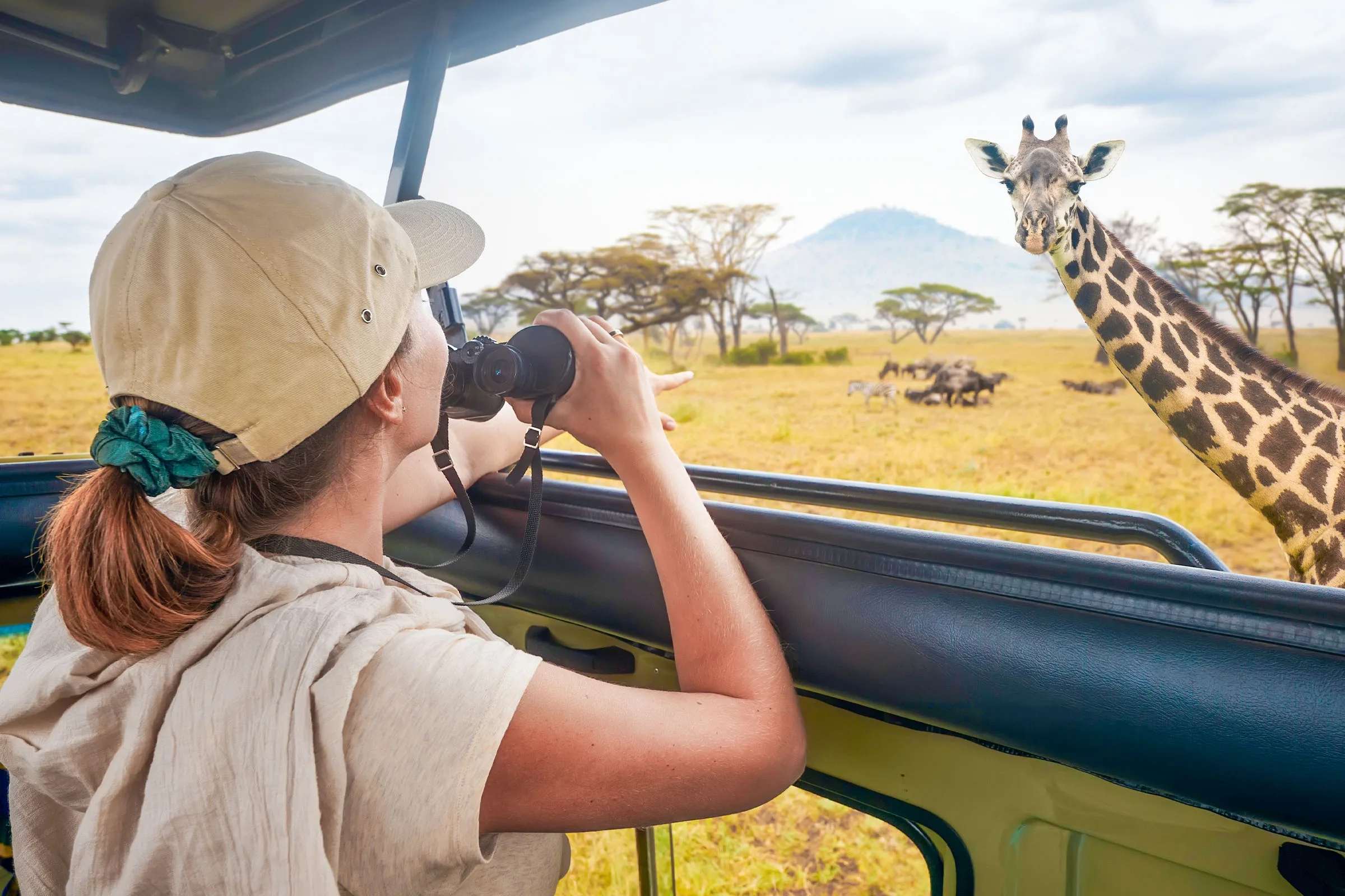 What should I do if an animal approaches the safari vehicle?