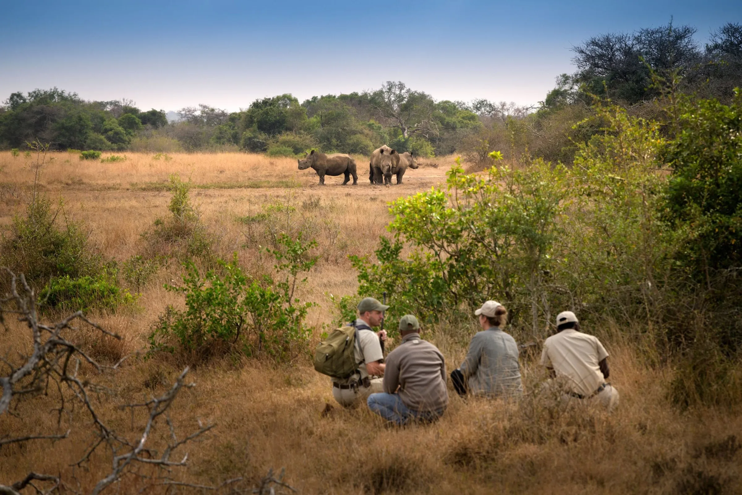 What should I look for when booking a African safari for seniors?
