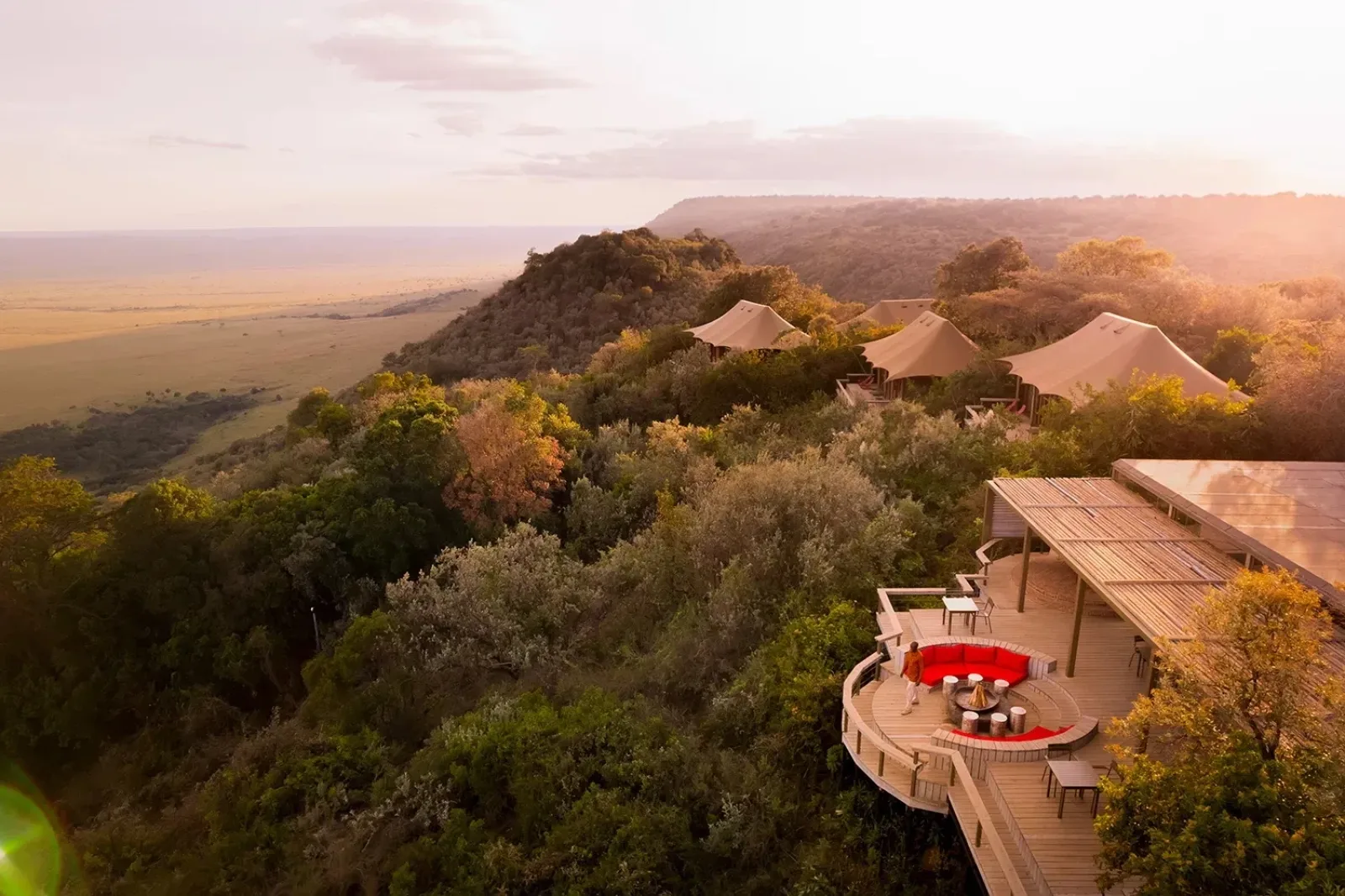 Wildlife on an African safari