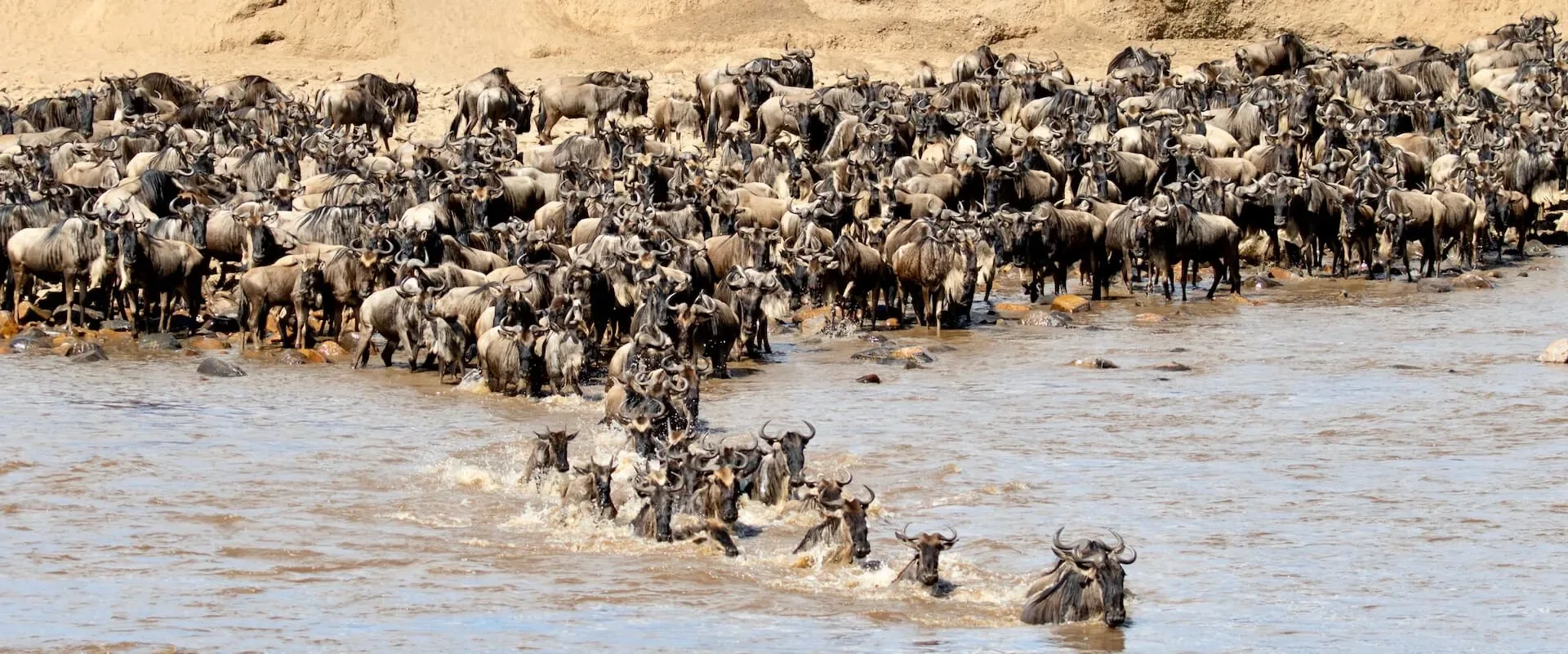 Where can I see the Great Migration?