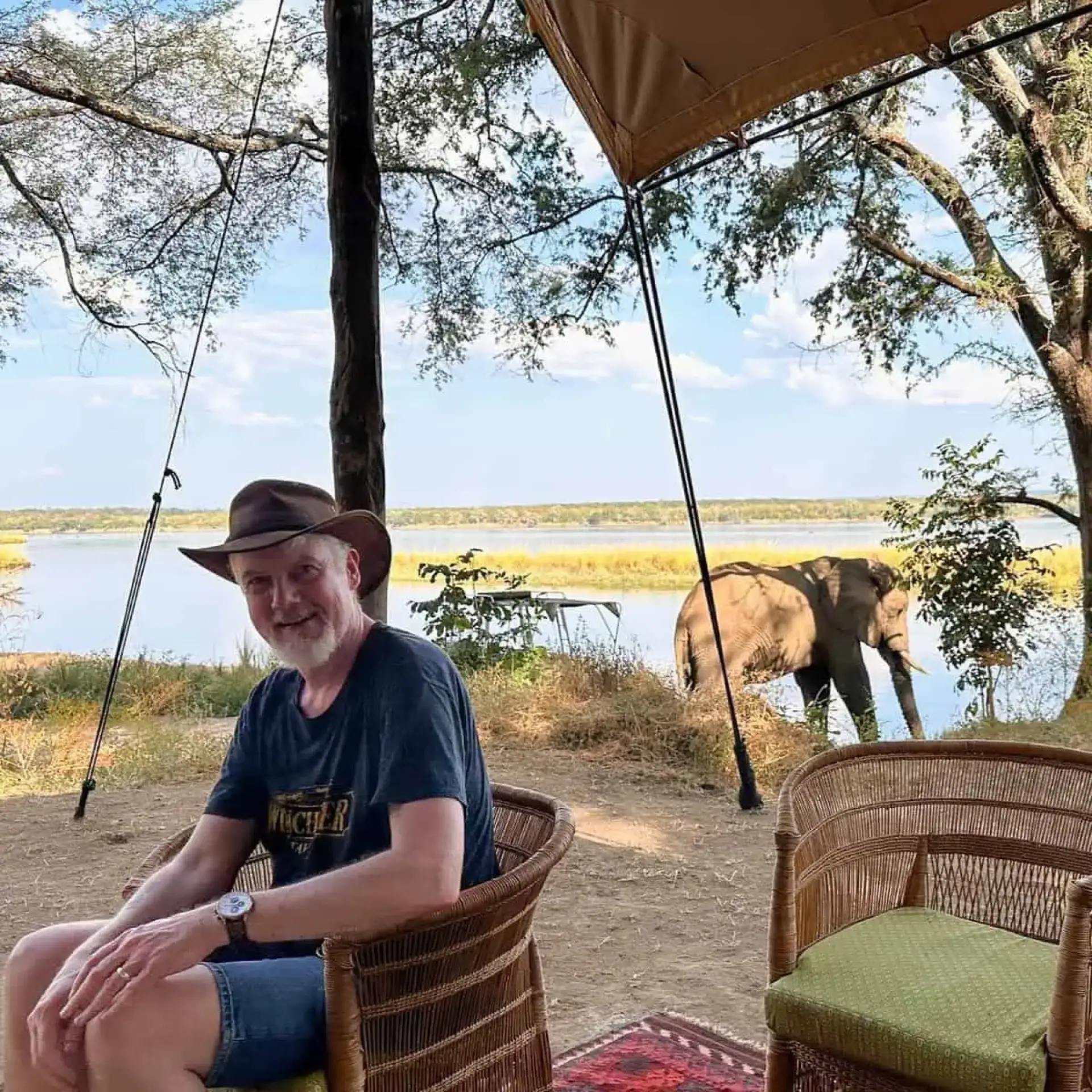 Why are African safaris so expensive?