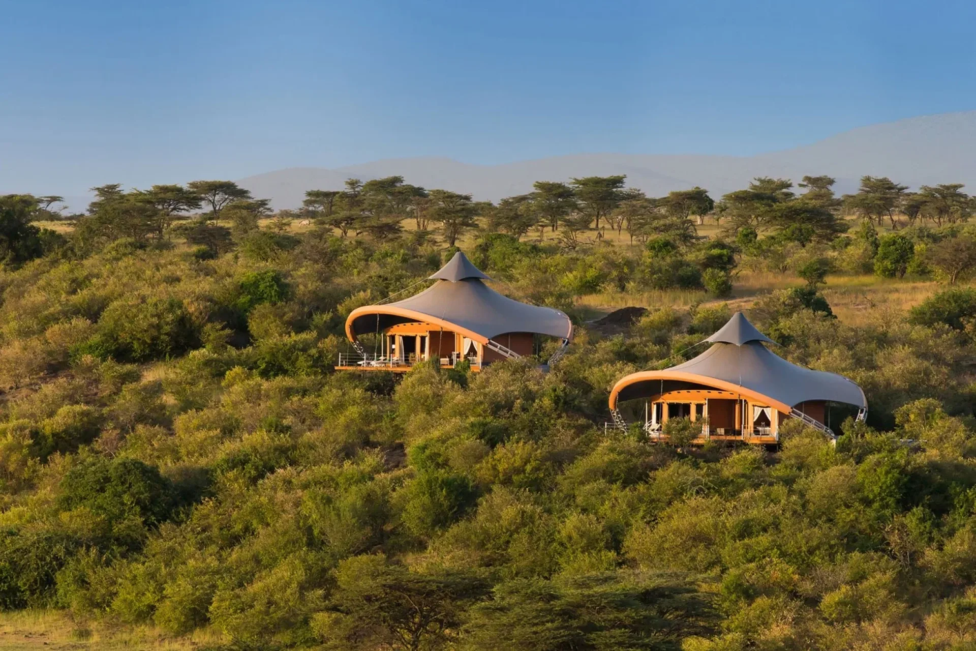 Why do safari camps escort guests after dark?