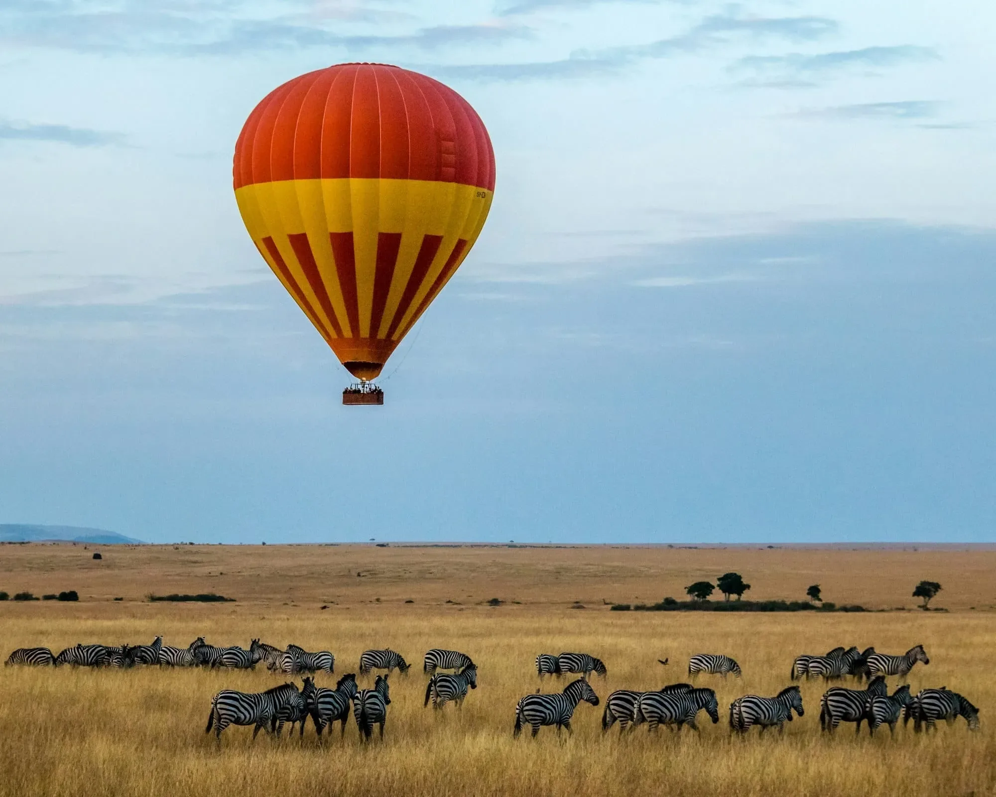 Wildlife in Kenya
