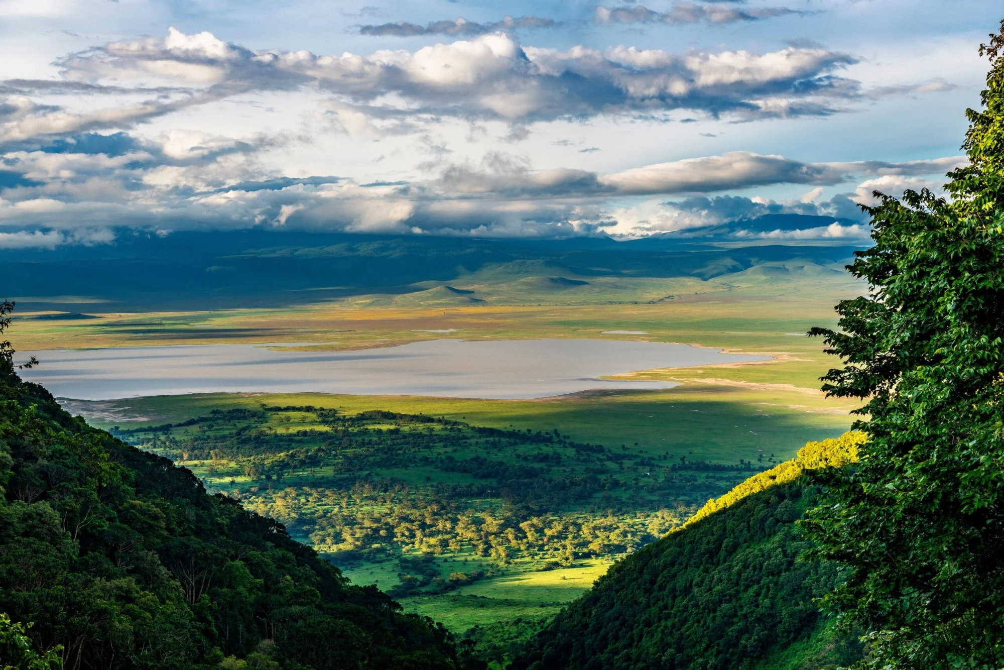 Wildlife in Ngorongoro