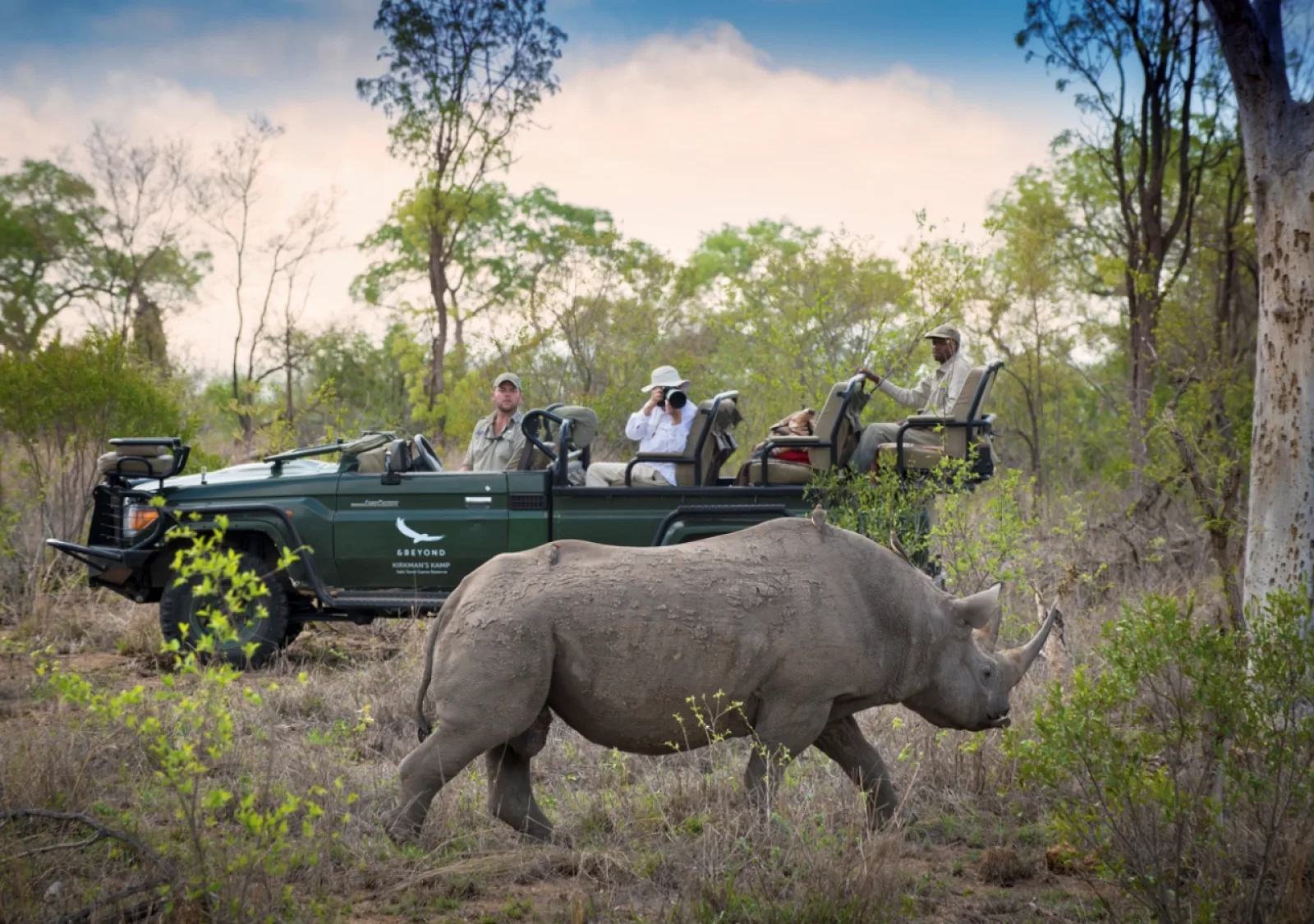 Wildlife in South Africa