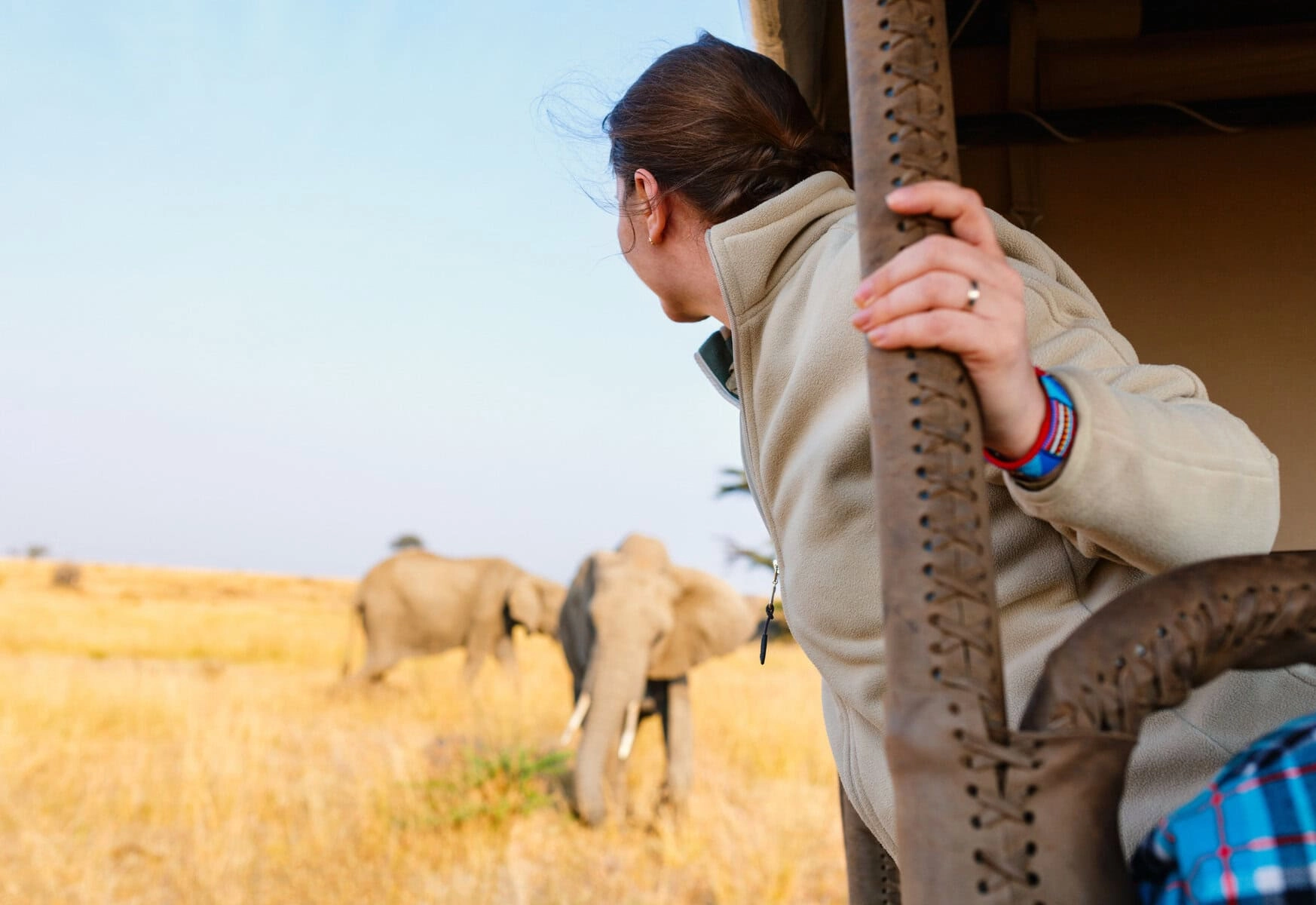 Wildlife in Uganda