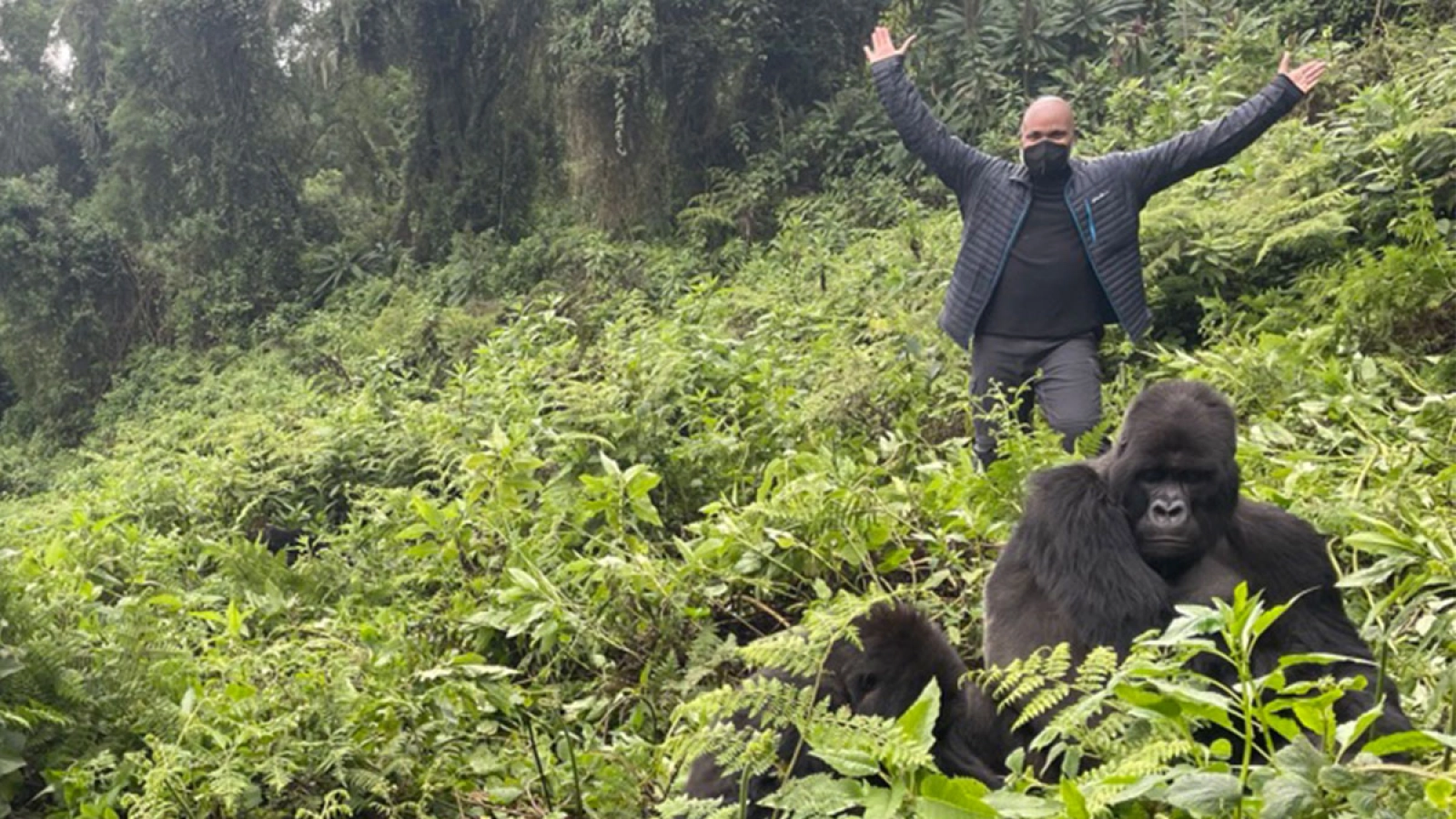 Wildlife in Uganda