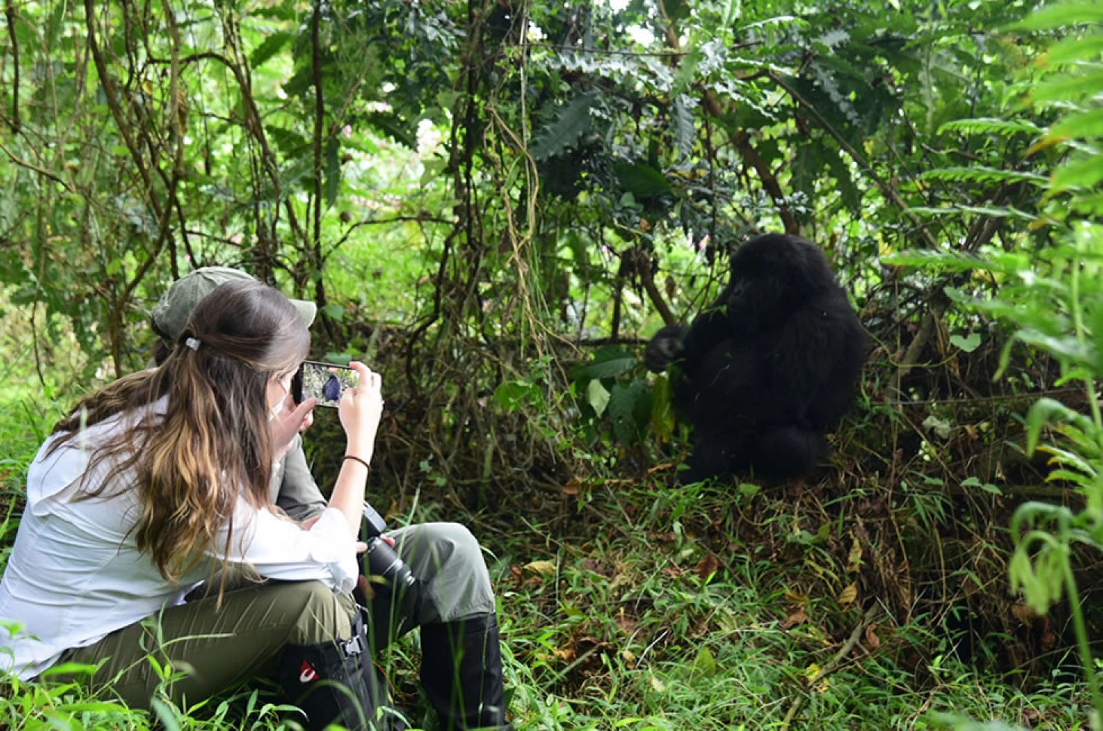 Wildlife in Uganda