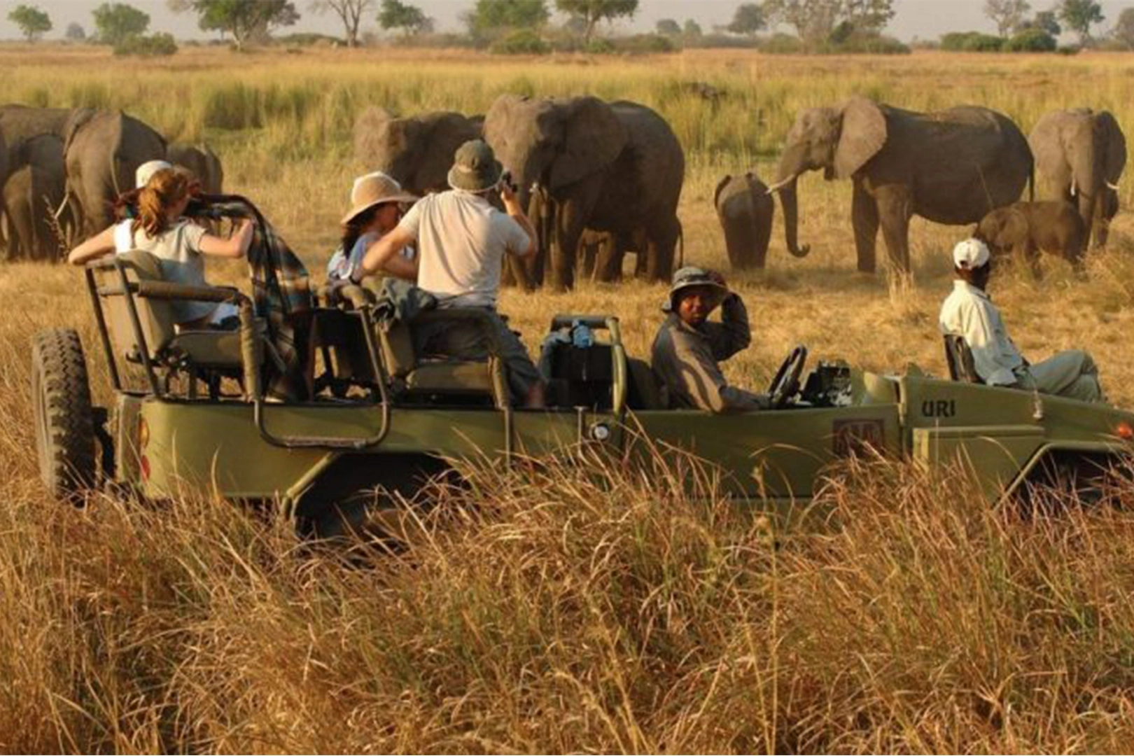 Wildlife in Uganda