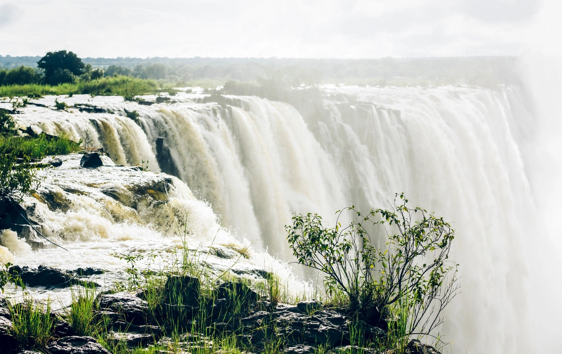 Wildlife in Victoria Falls