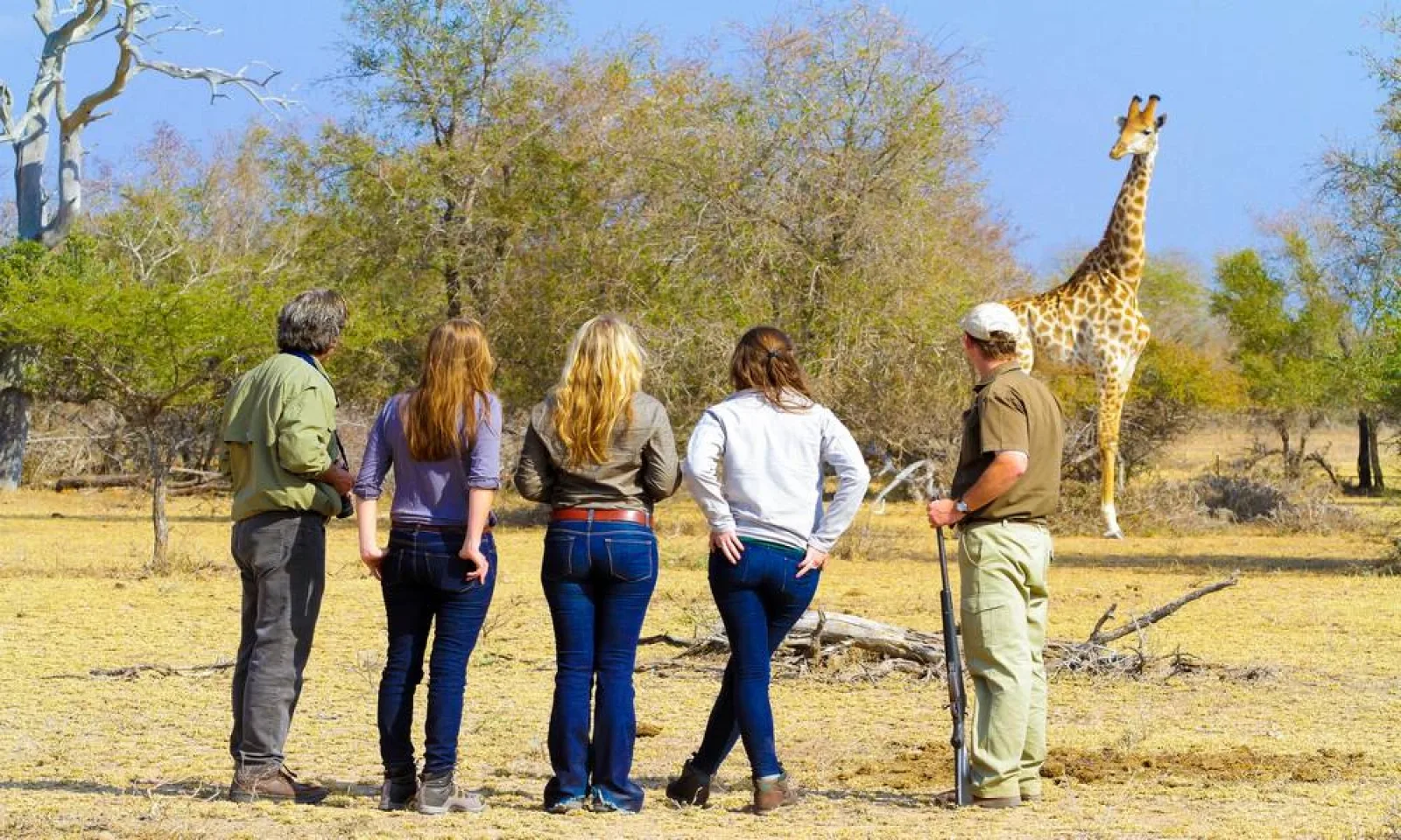 Wildlife on an African safari