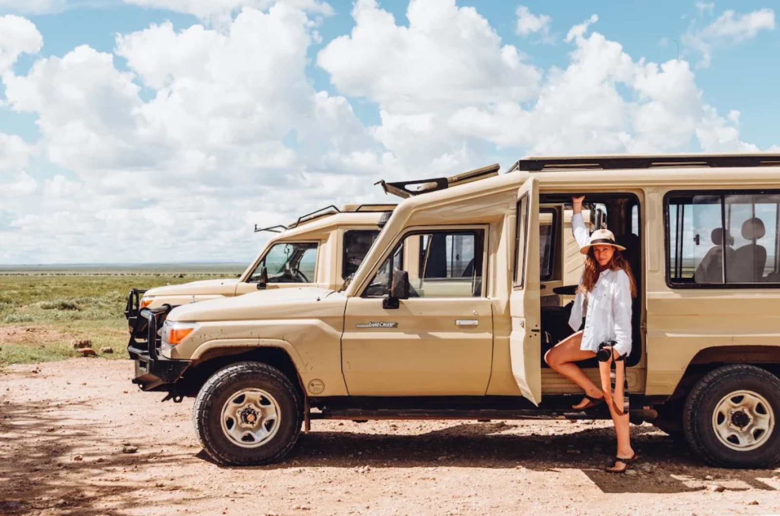 Wildlife on an African safari