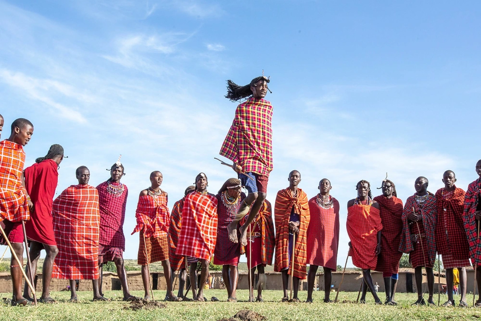 Wildlife on an African safari