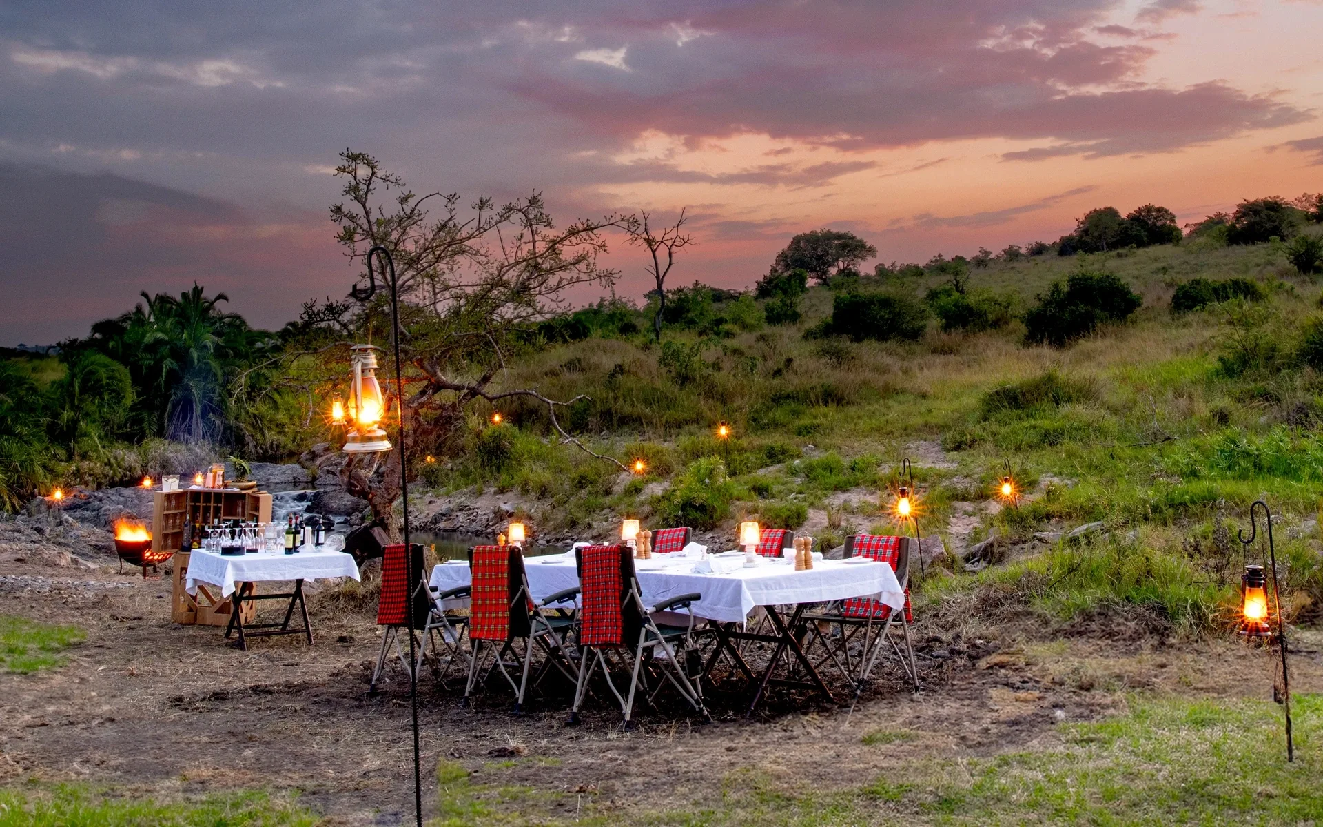 Wildlife on an African safari