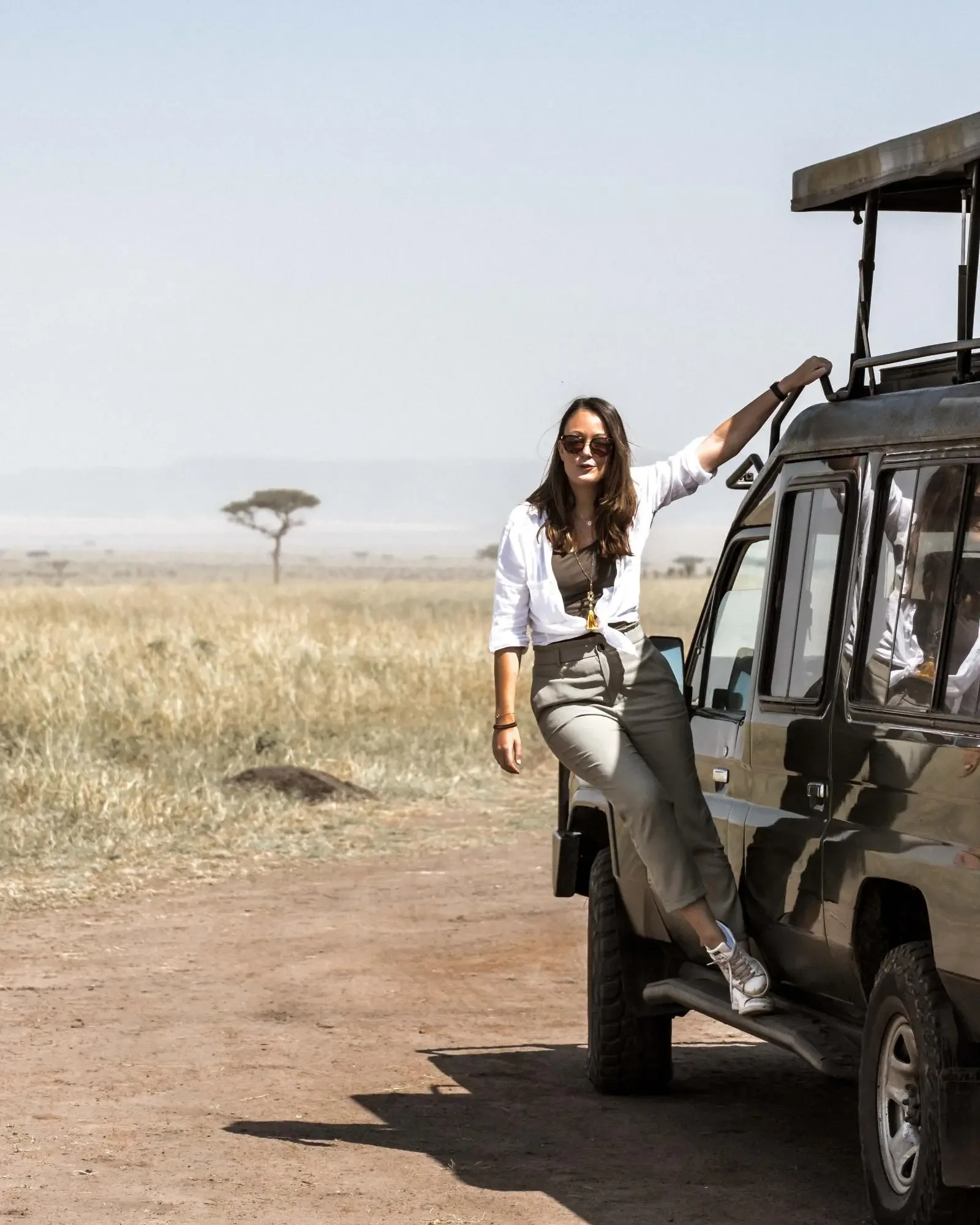 Wildlife on an African safari