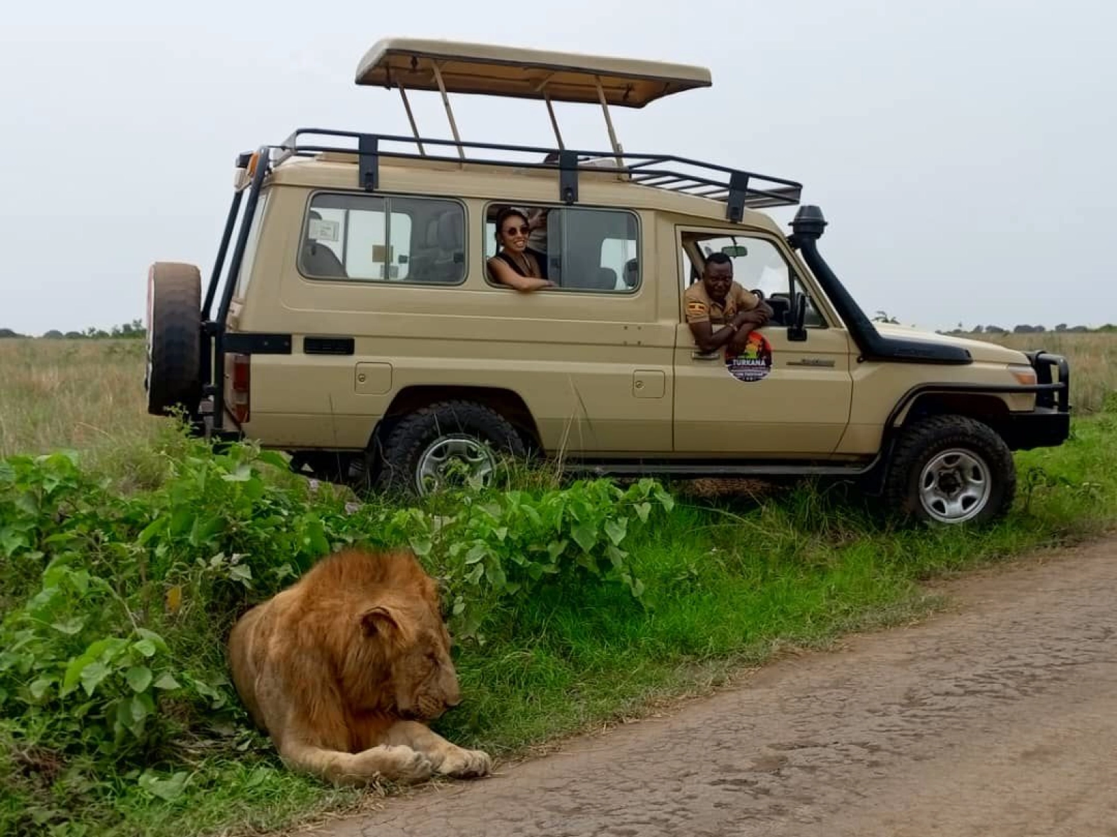 Wildlife on an African safari