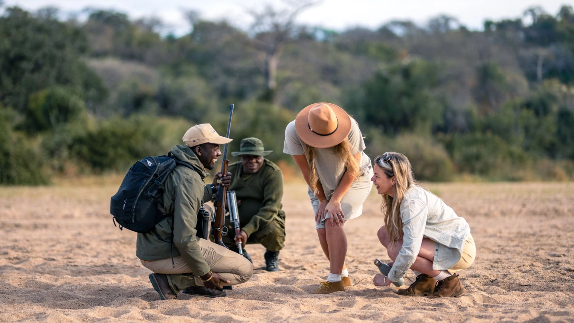 Wildlife on an African safari