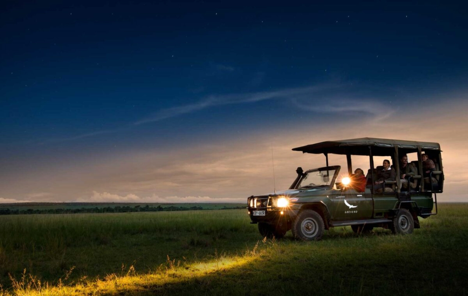 Wildlife on an African safari