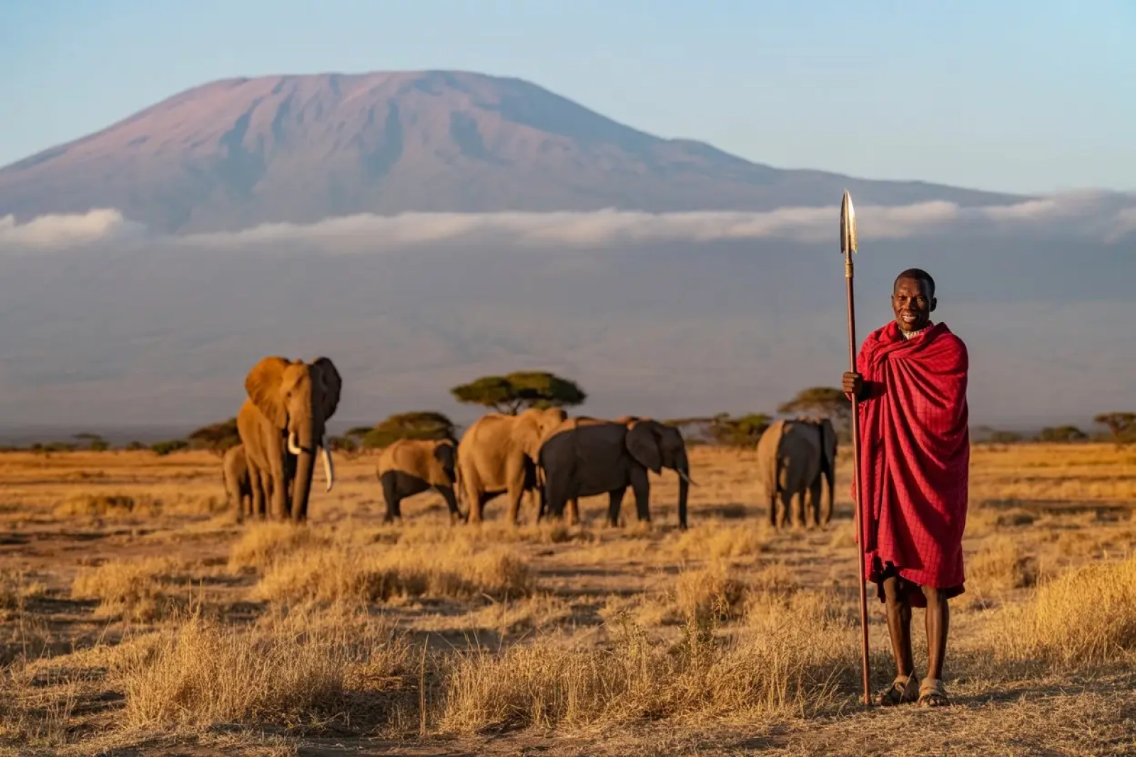 Wildlife photography in Amboseli National Park