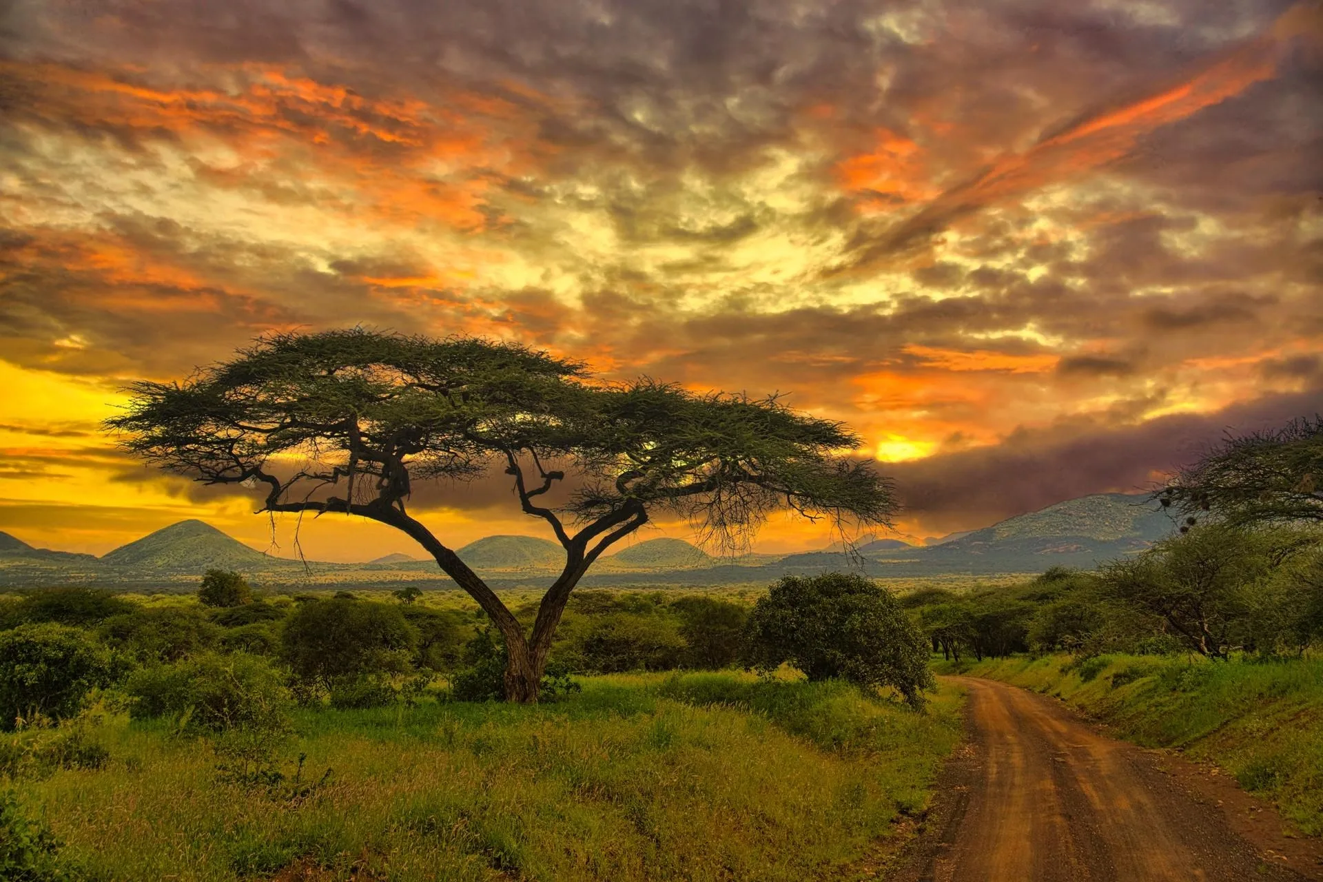 Wildlife photography in Kenya