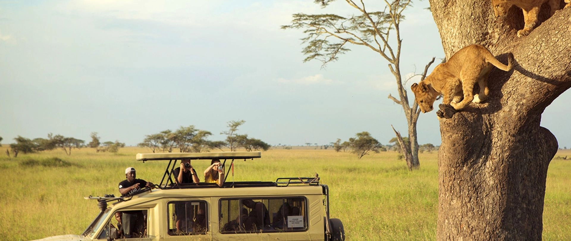 Wildlife photography in Kenya
