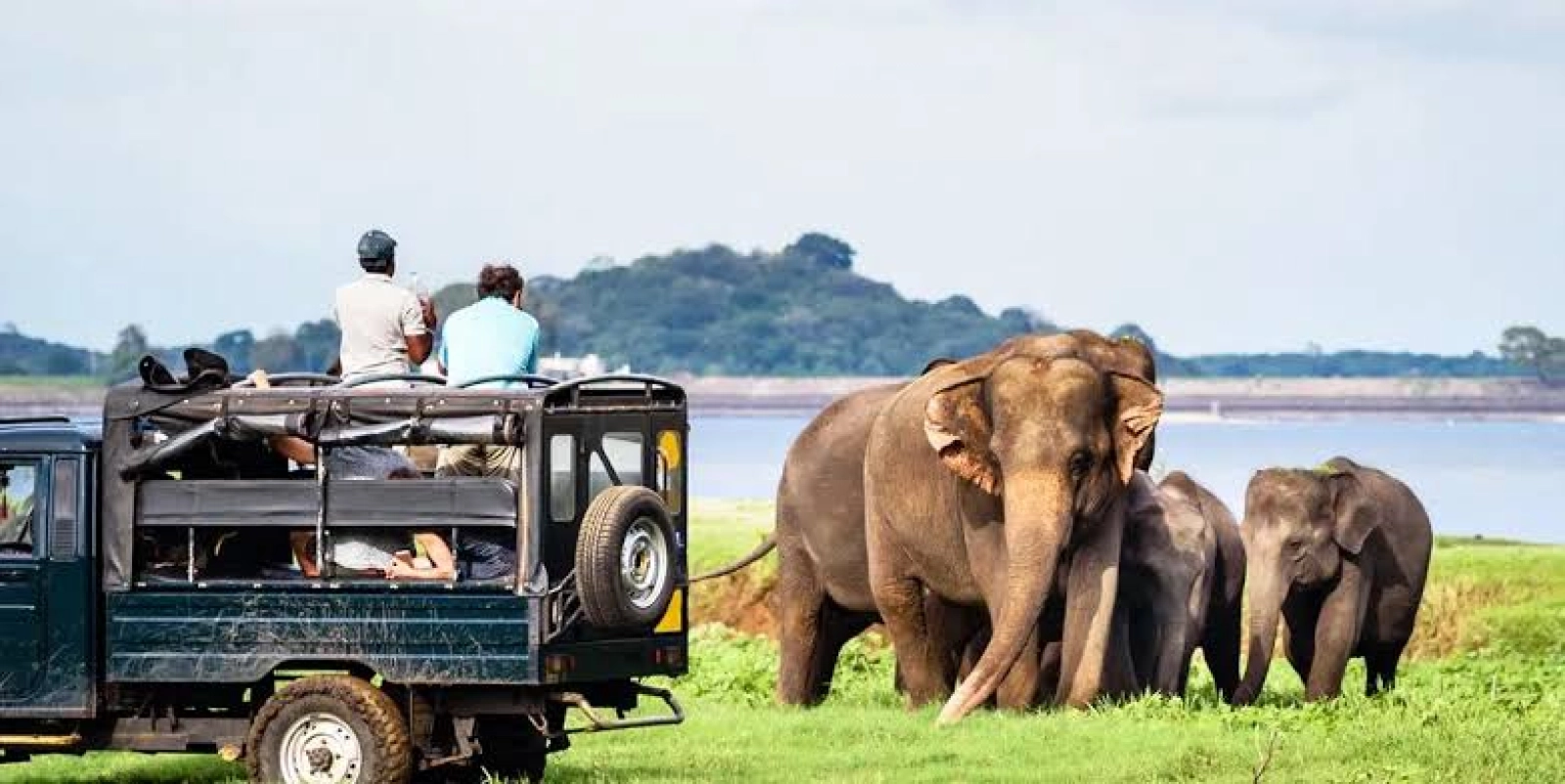 Wildlife photography in Kenya