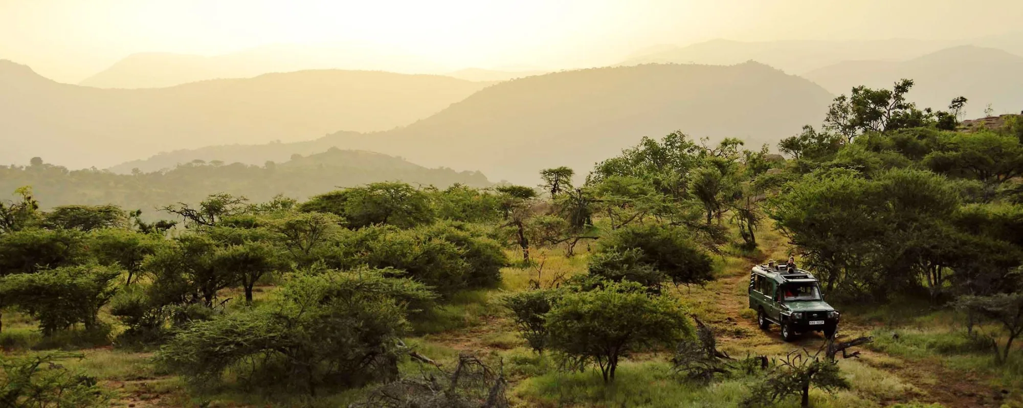 Wildlife photography in Kenya