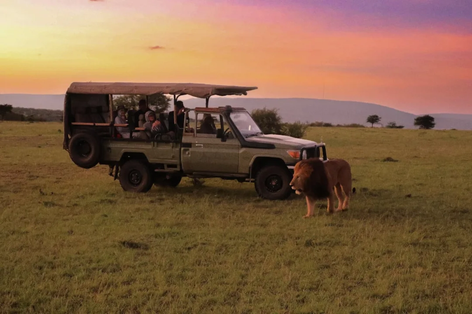 Wildlife photography in Kenya