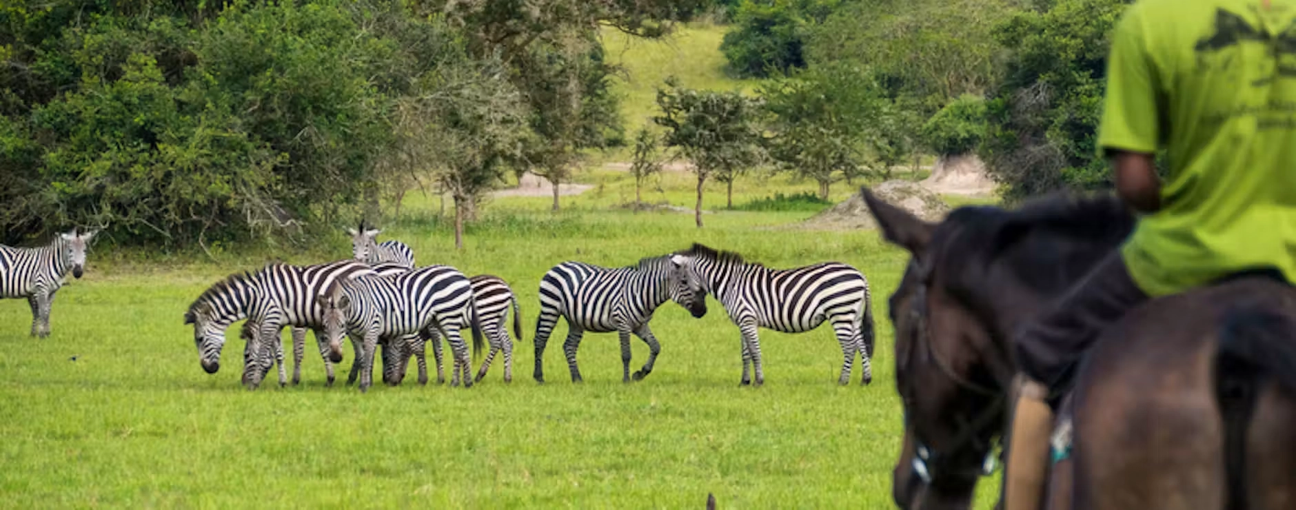 Wildlife photography in Lake Mburo