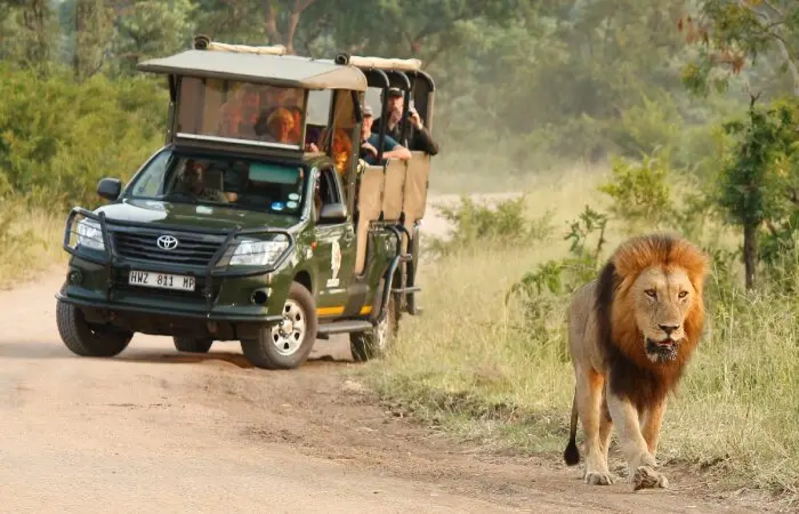 Wildlife photography in Masai Mara